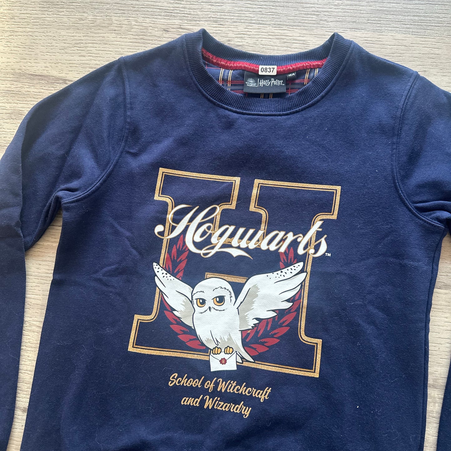 Pull Harry Potter : 12 ans