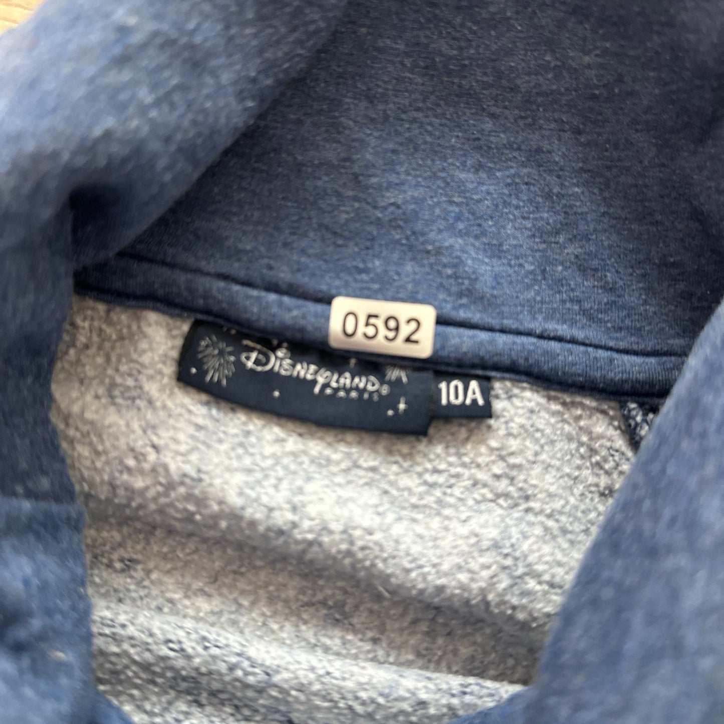 Pull Disneylands Paris : 10 ans