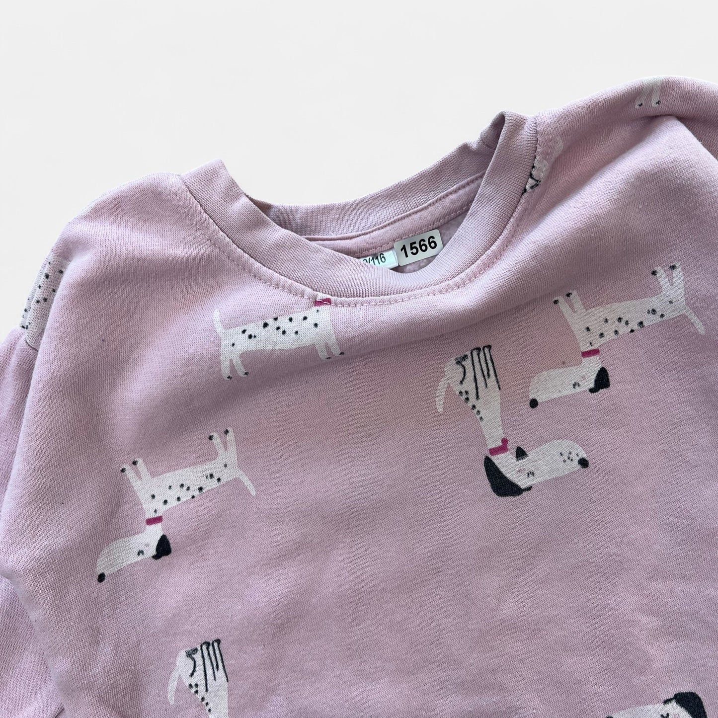 Sweat chiens : 5 ans
