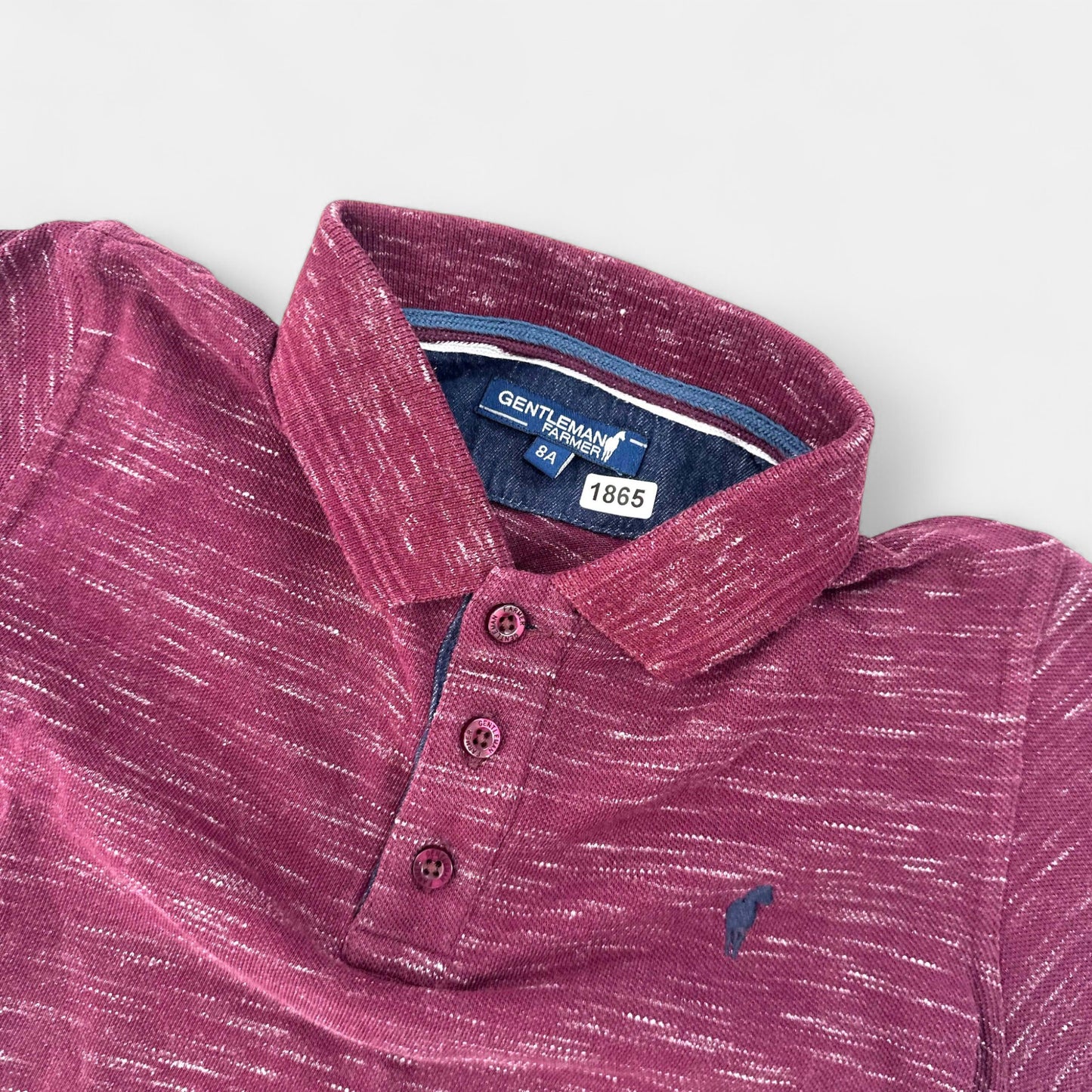 Polo Gentleman Farmer : 8 ans