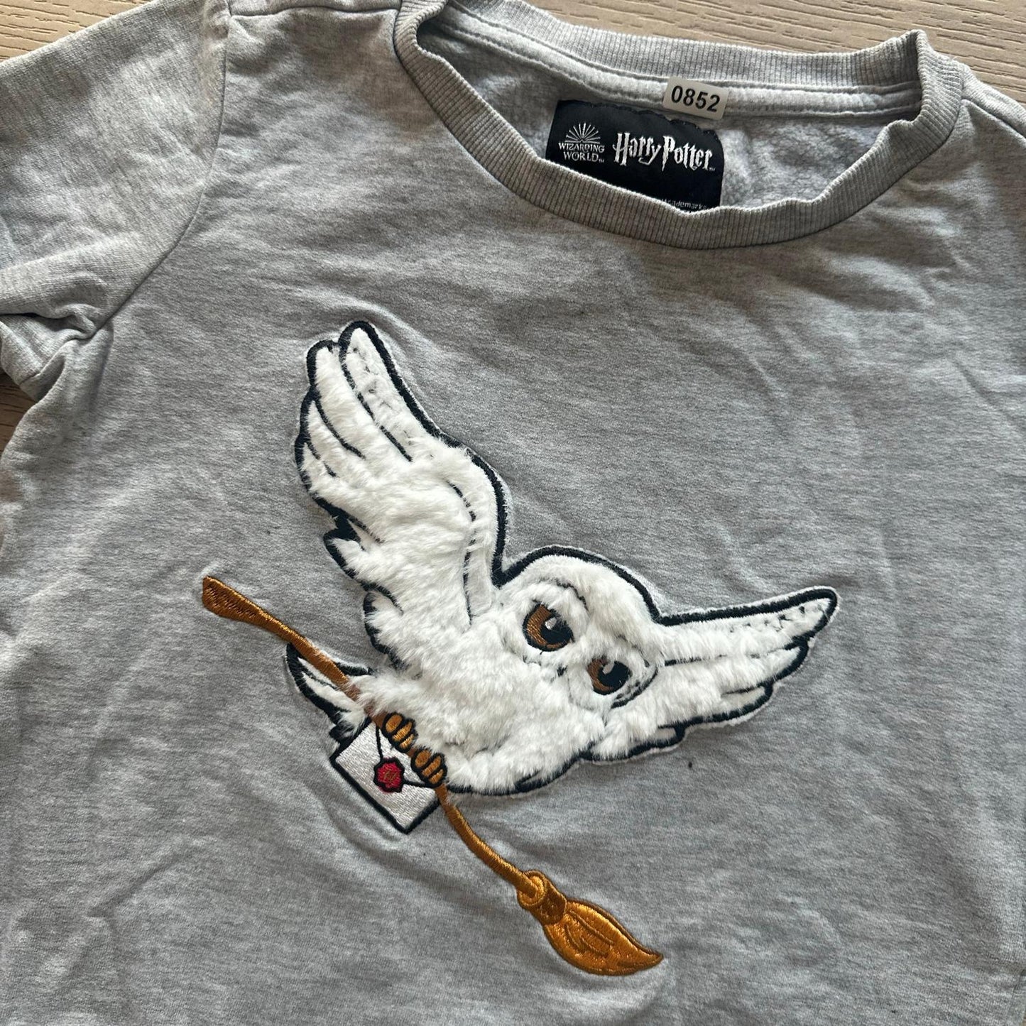 Pull Harry Potter : 10 ans