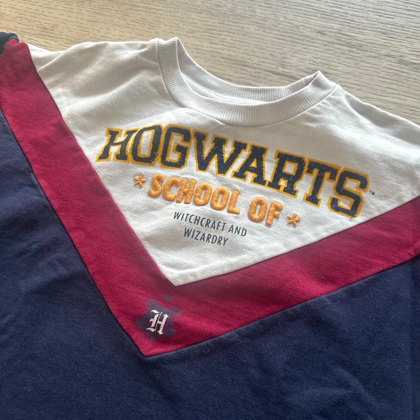 Pull Harry Potter : 10 ans