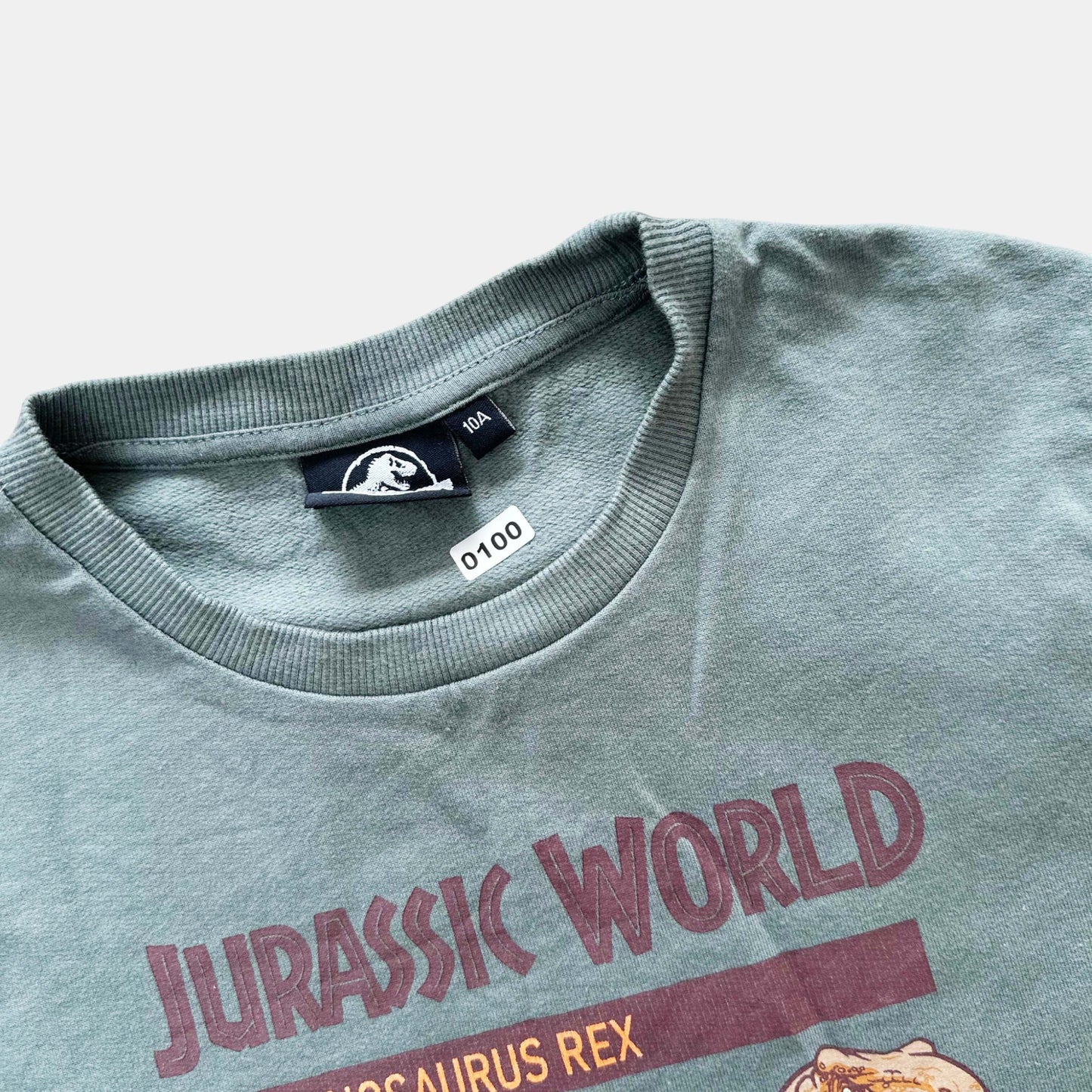 Pull Jurassic World : 10 ans