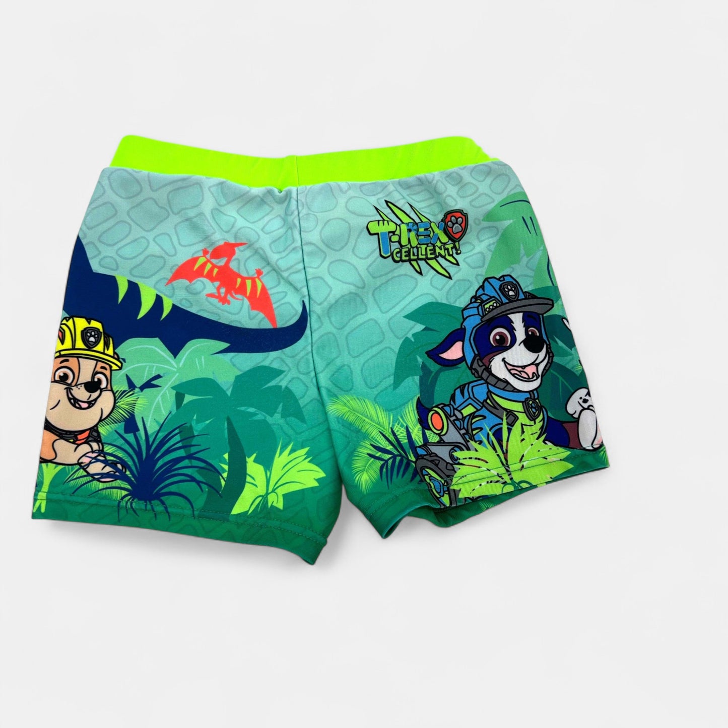 Maillot de bain Nickelodeon : 5 ans
