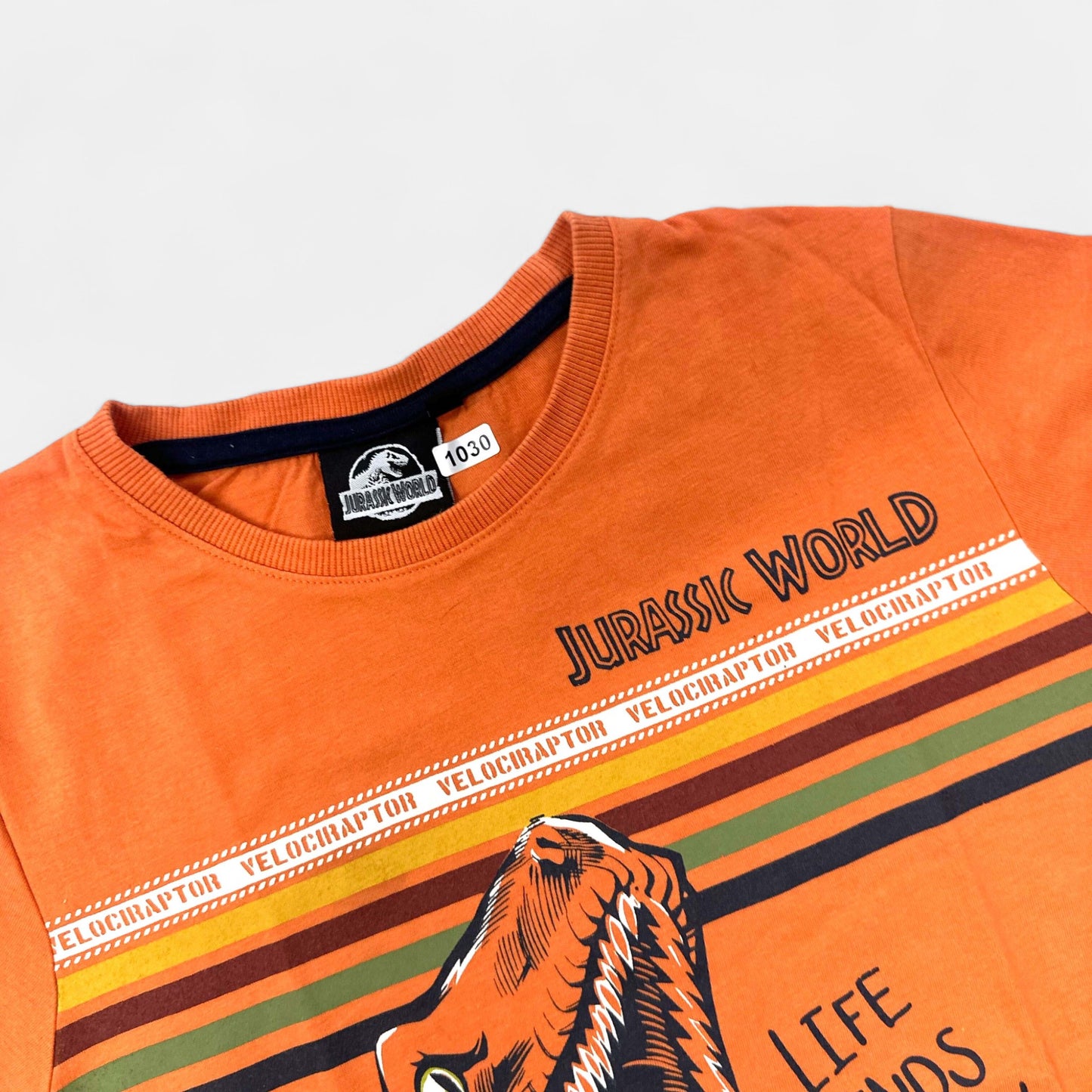 T-Shirt Jurassic World : 12 ans