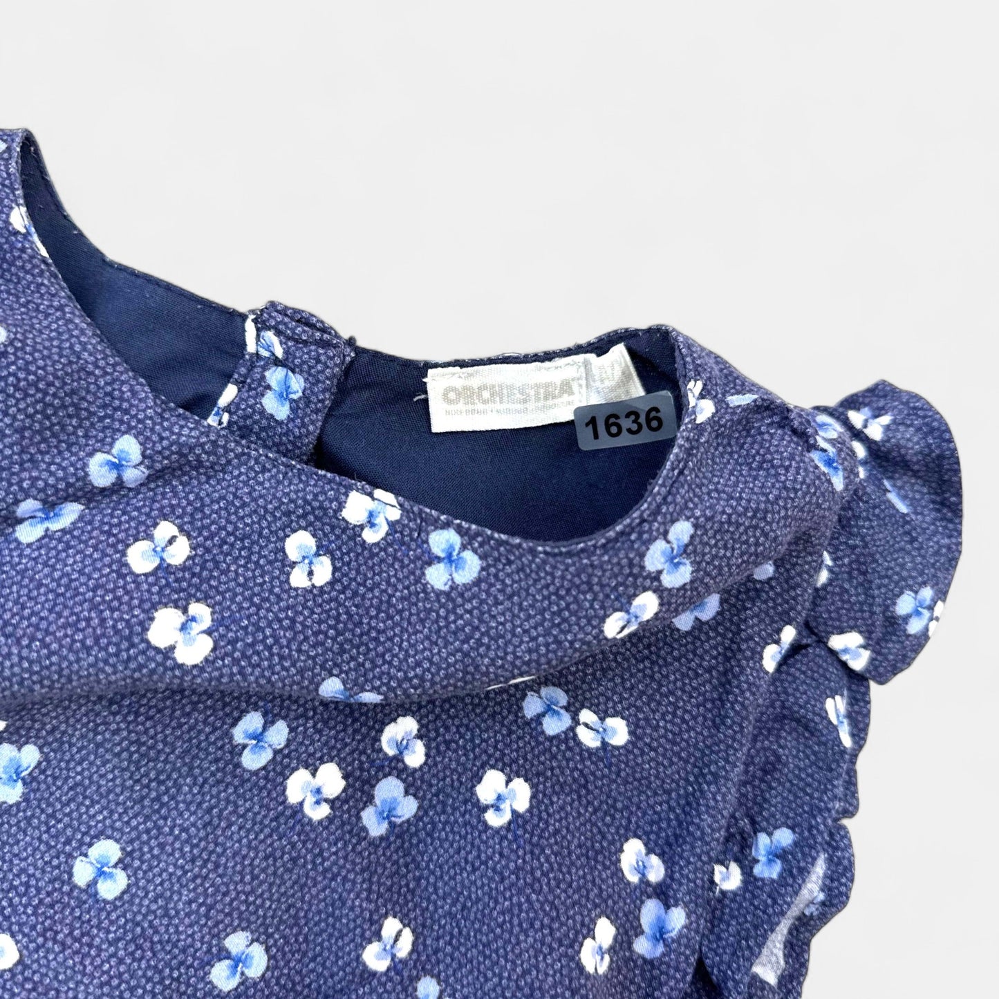 Robe Orchestra : 5 ans