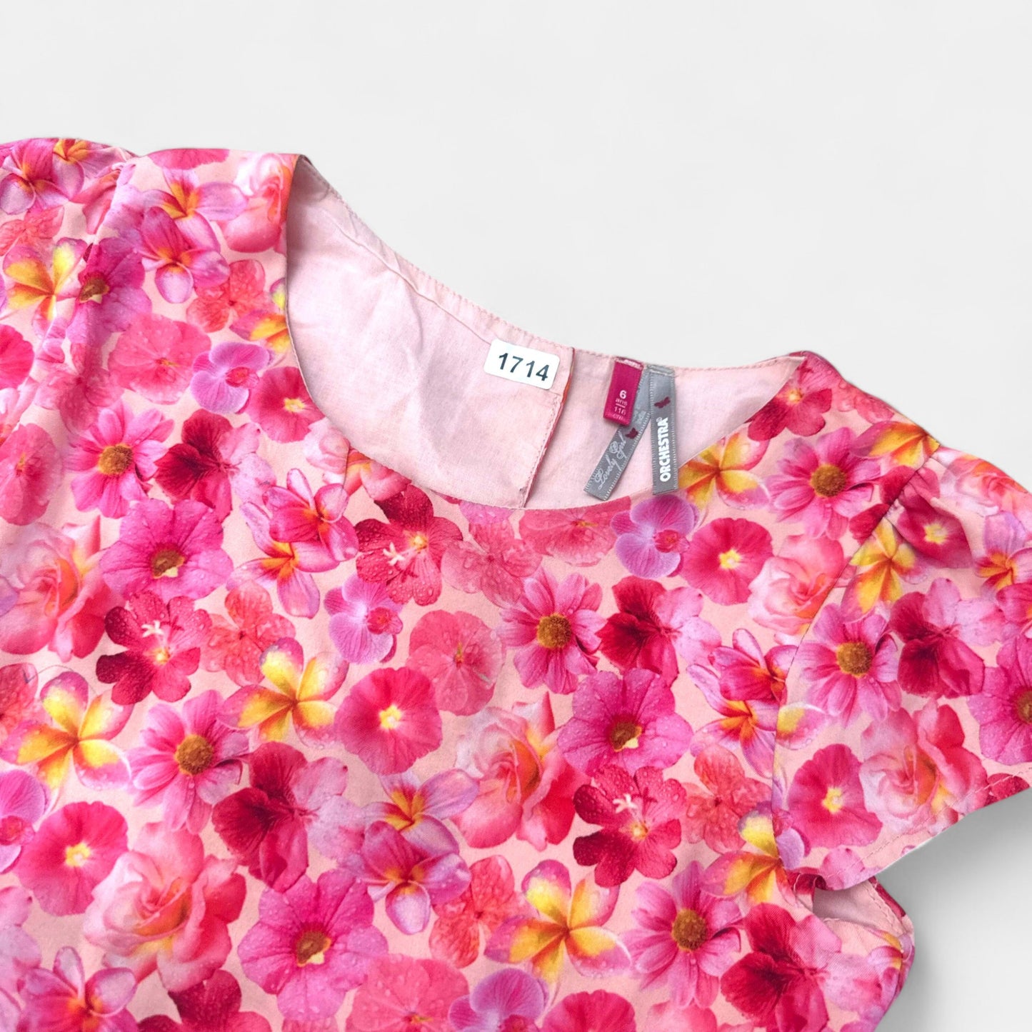 Robe Orchestra : 6 ans