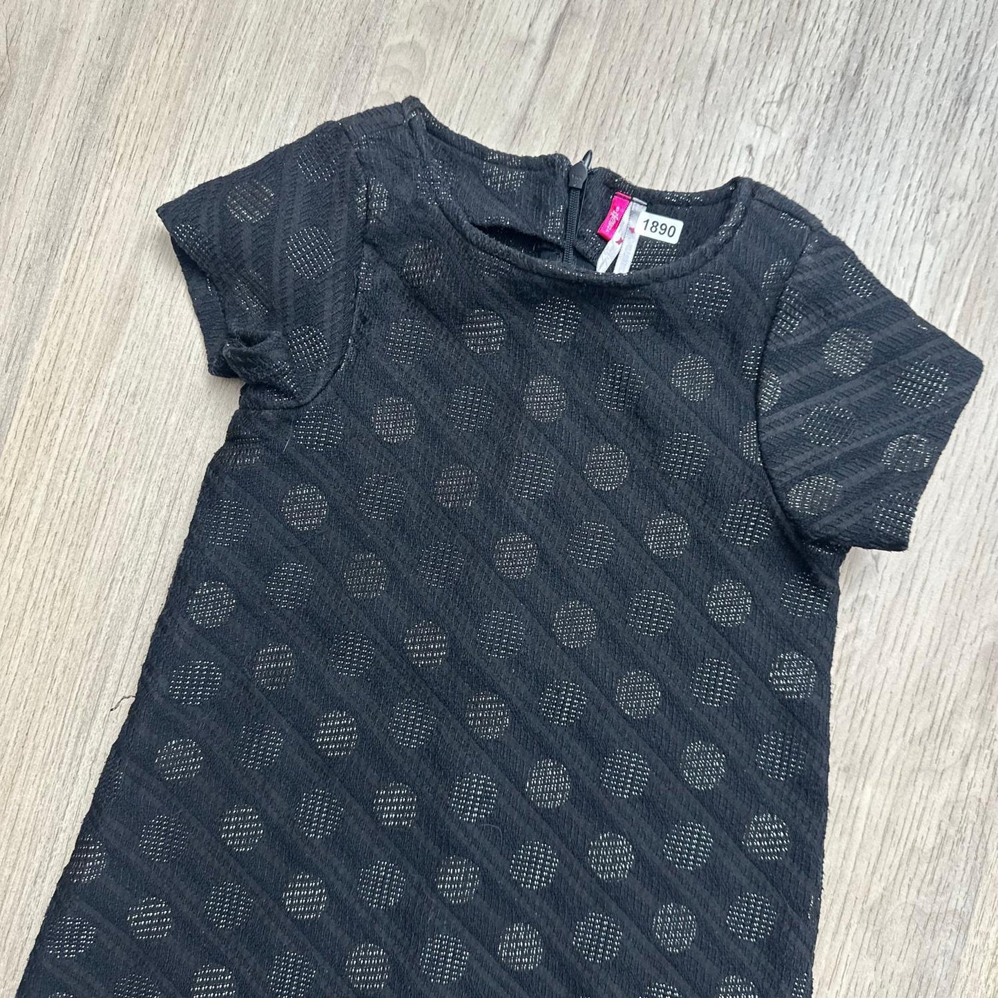 Robe Orchestra : 5 ans