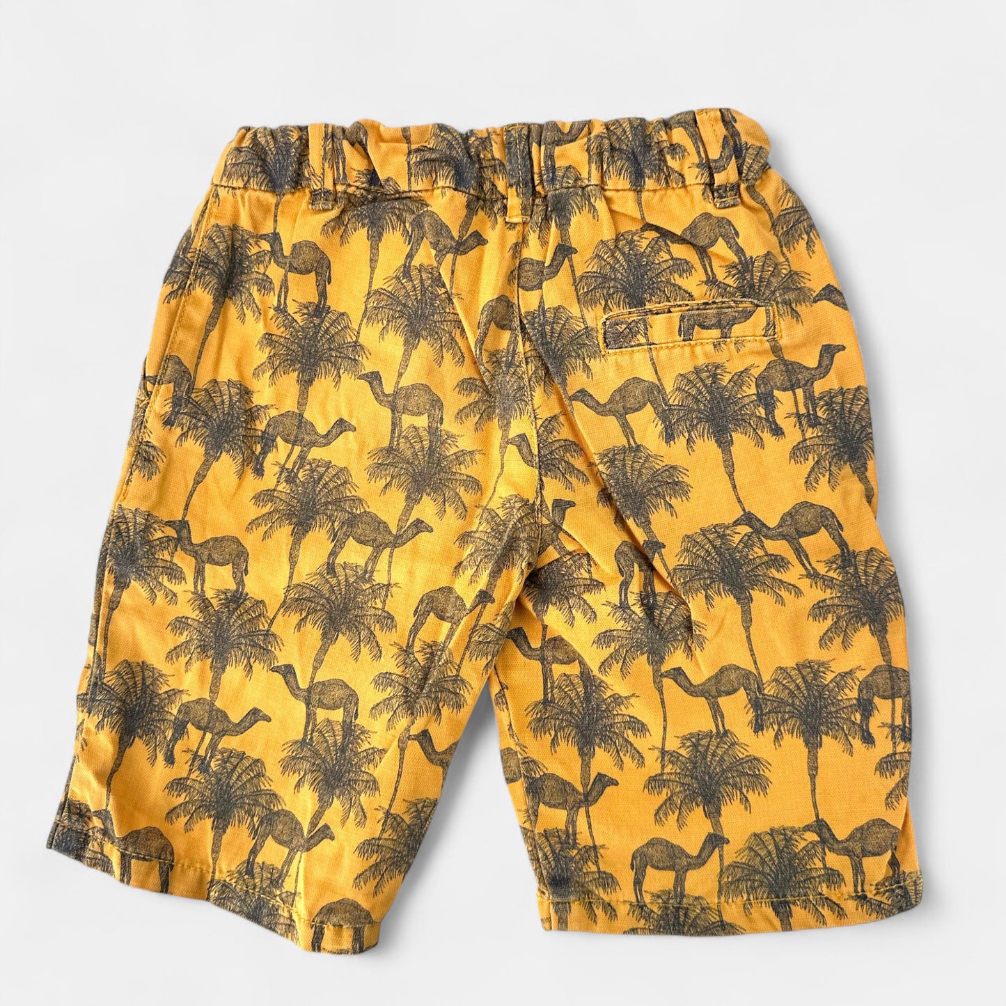 Short Tape à l'oeil : 5 ans