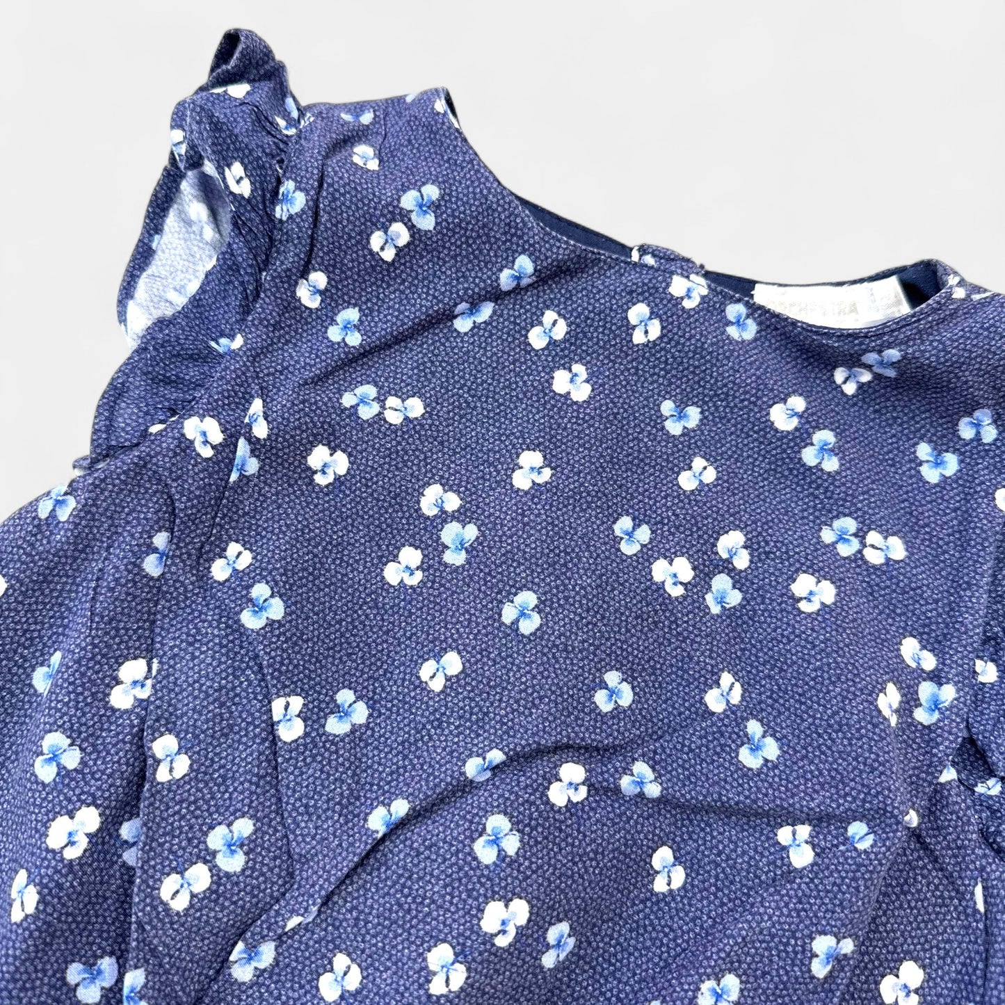 Robe Orchestra : 5 ans