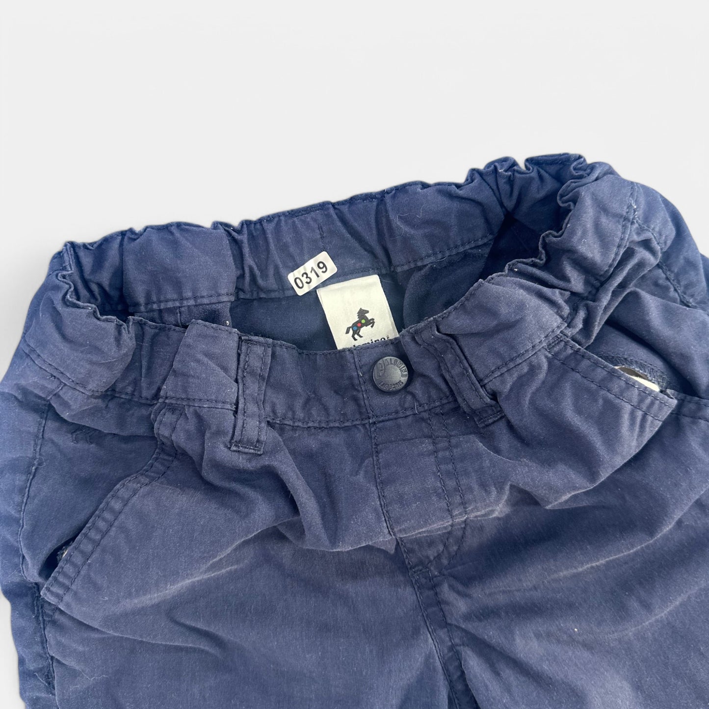 Short Palomino : 8 ans