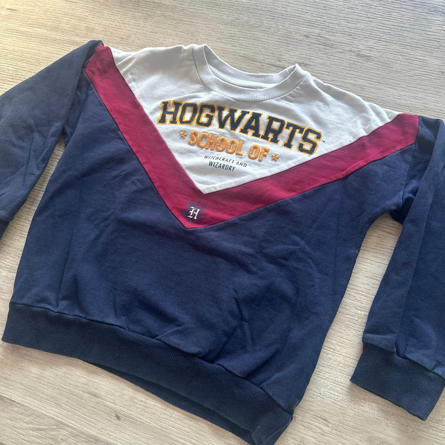 Pull Harry Potter : 10 ans
