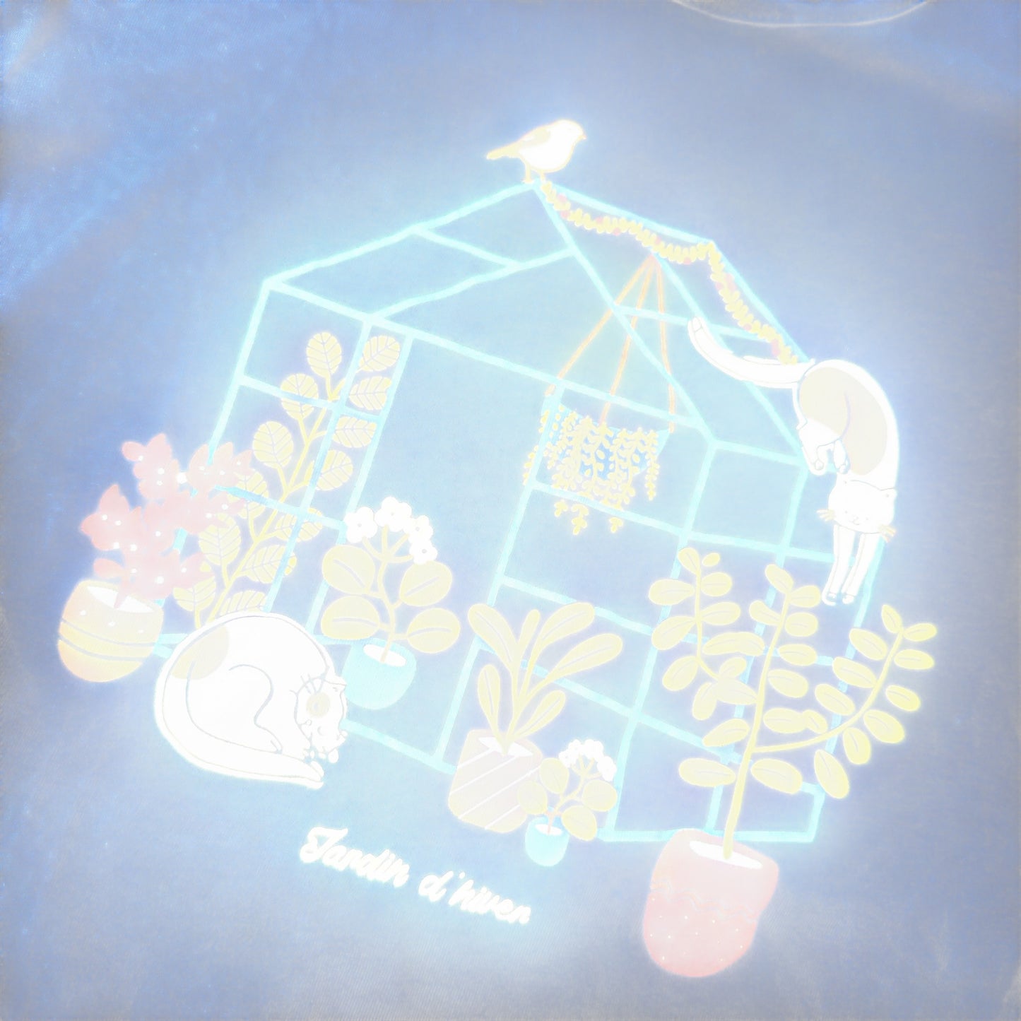 T-Shirt Tissaia : 14 ans