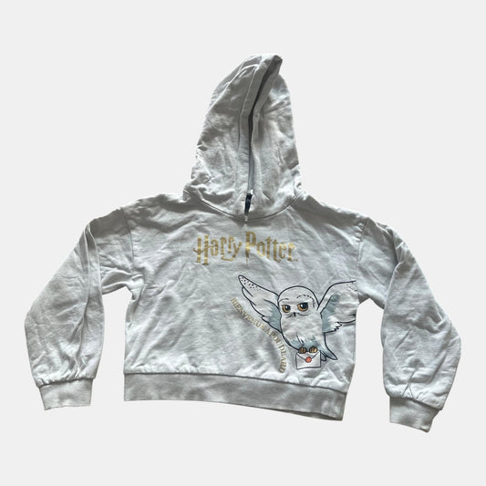 Pull Harry Potter : 6 ans