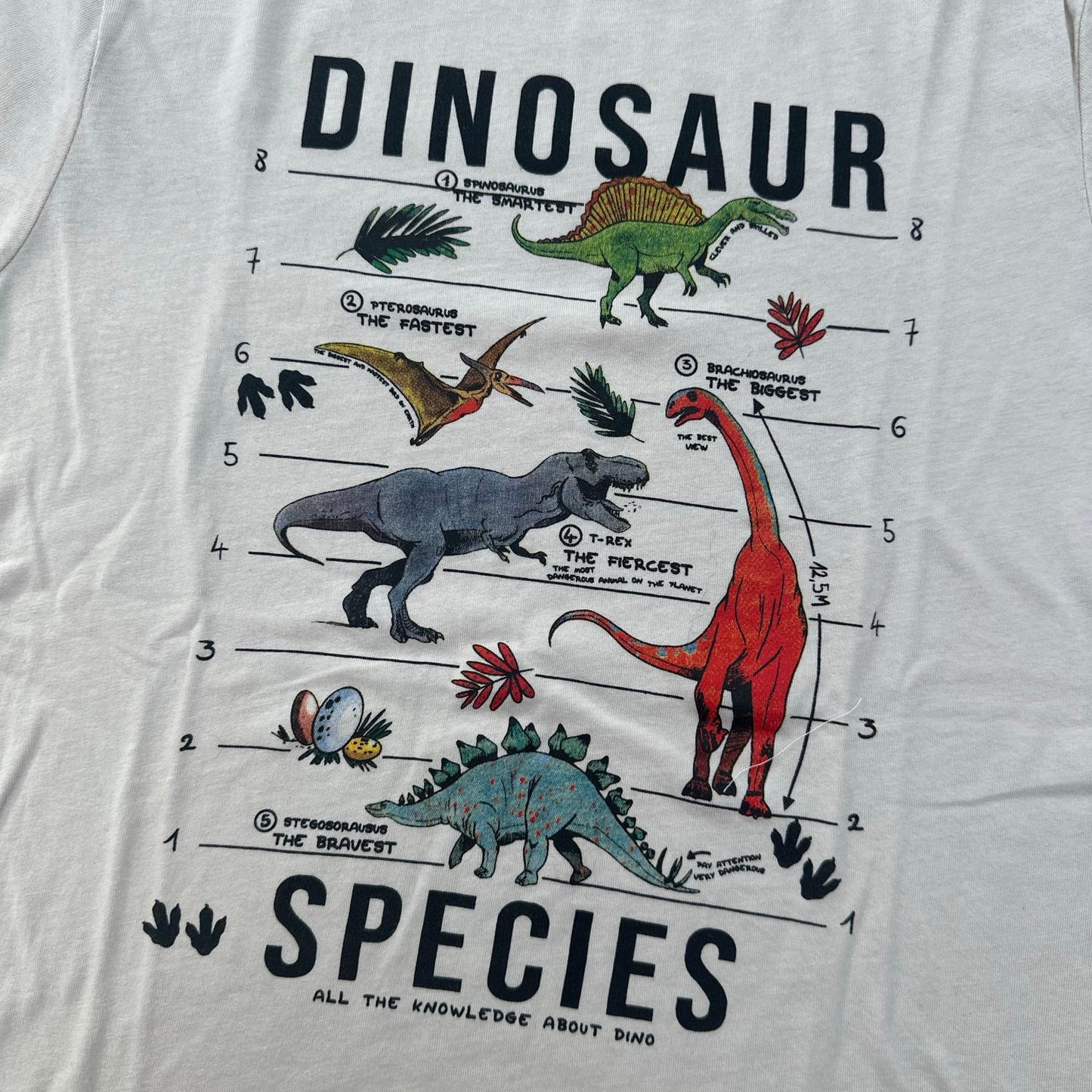 T-Shirt Kiabi : 12 ans