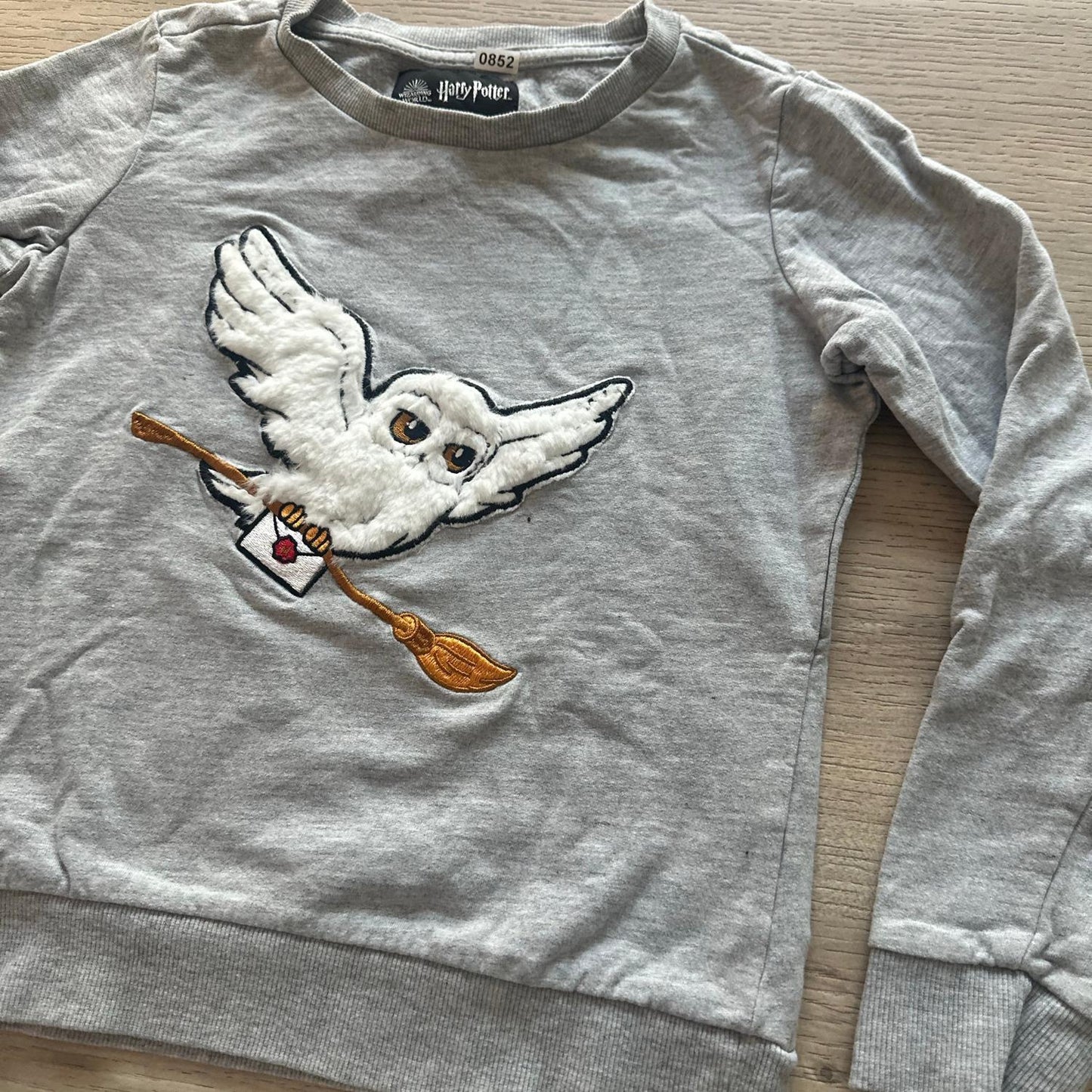Pull Harry Potter : 10 ans