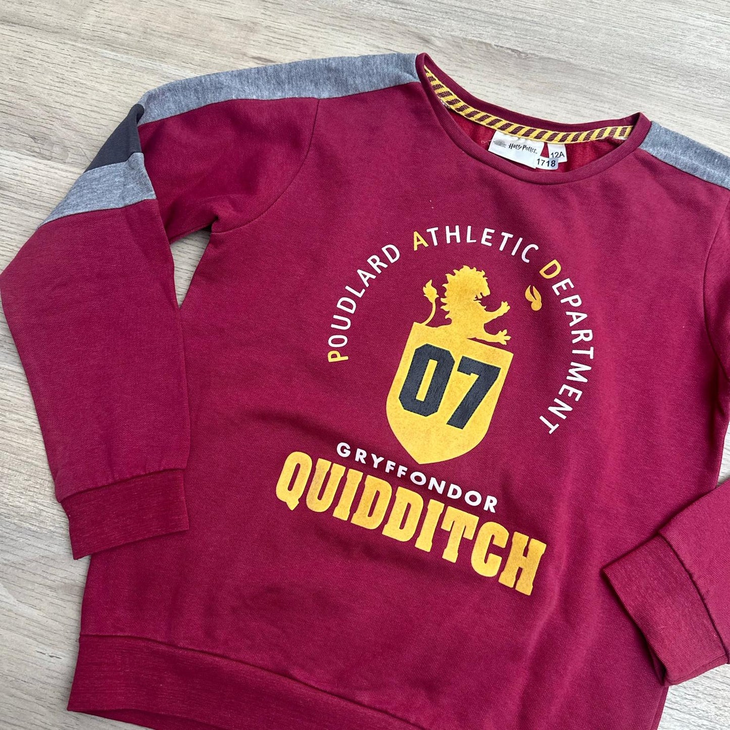 Pull Harry Potter : 12 ans