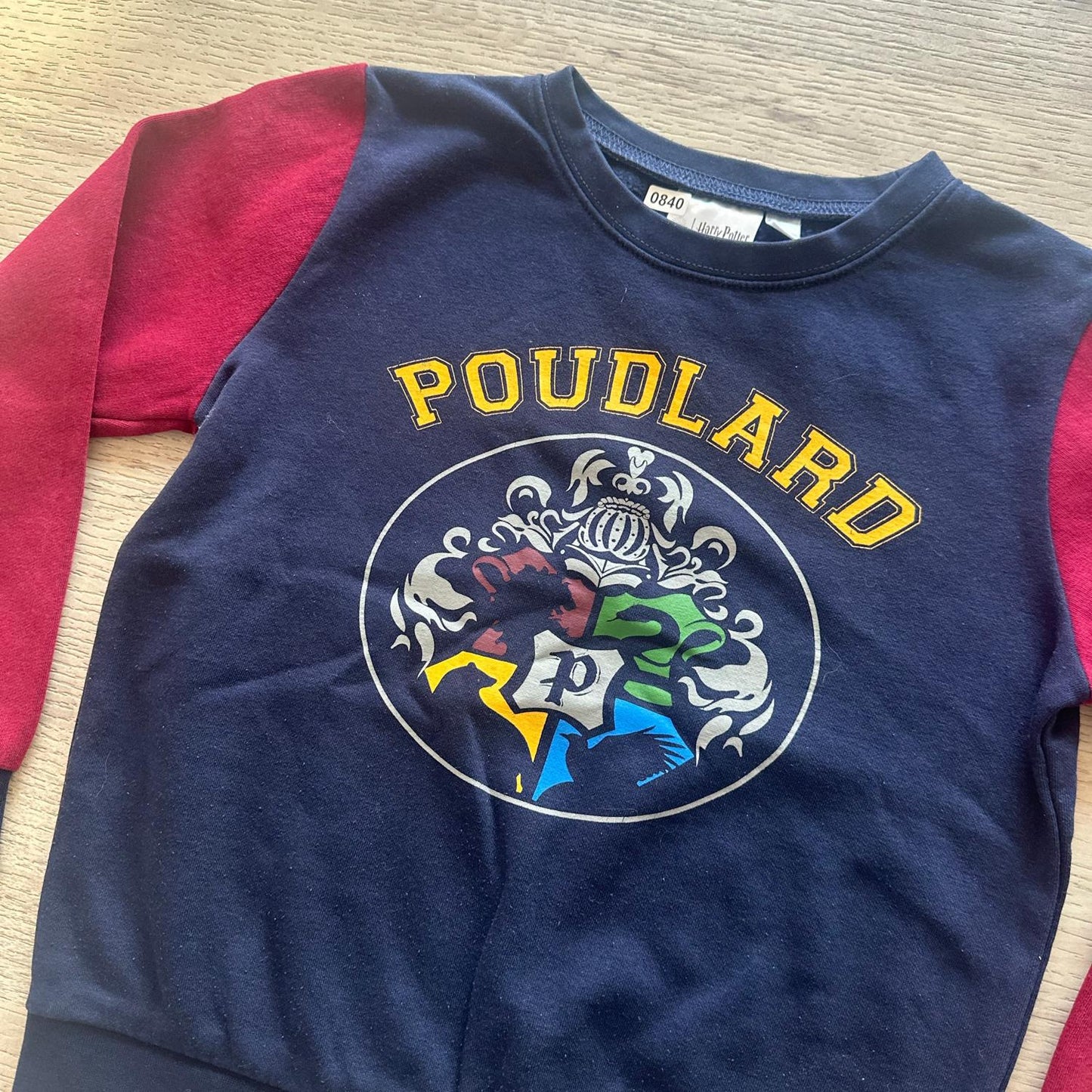 Pull Harry Potter : 8 ans