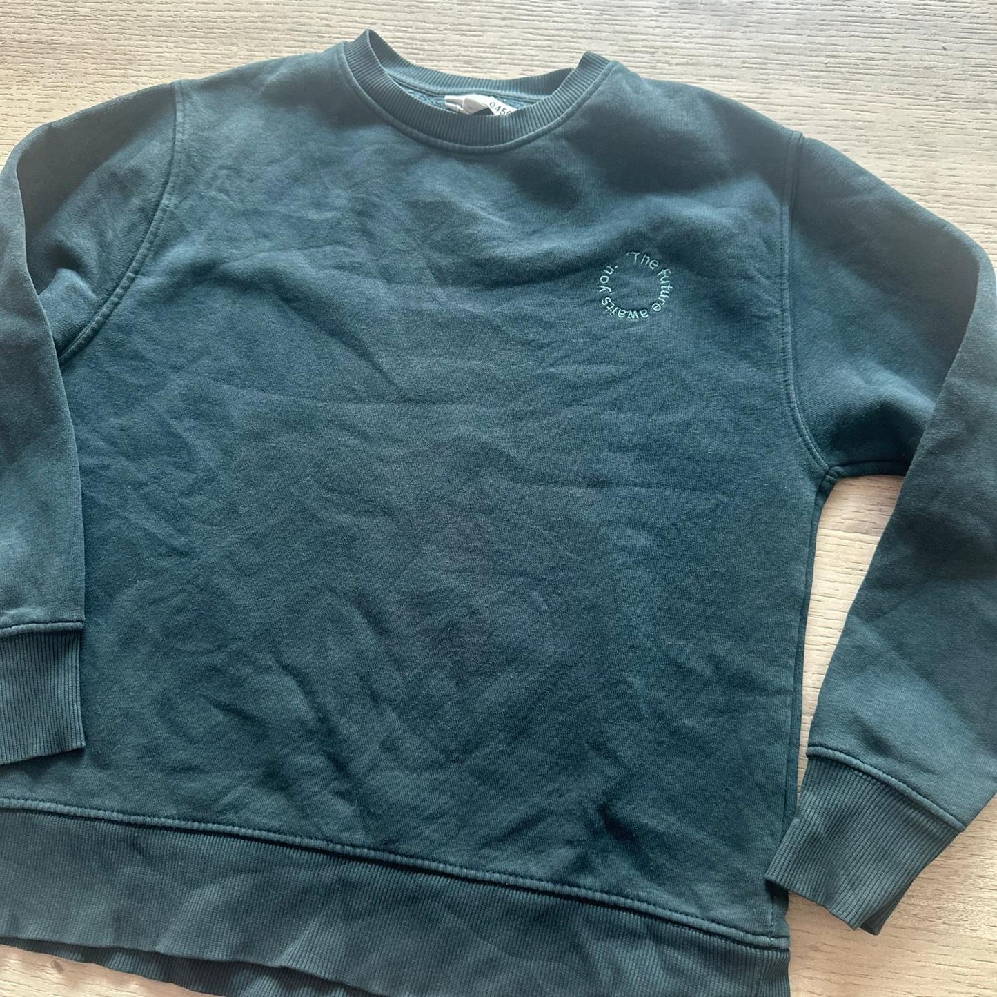 Pull Zara : 12 ans