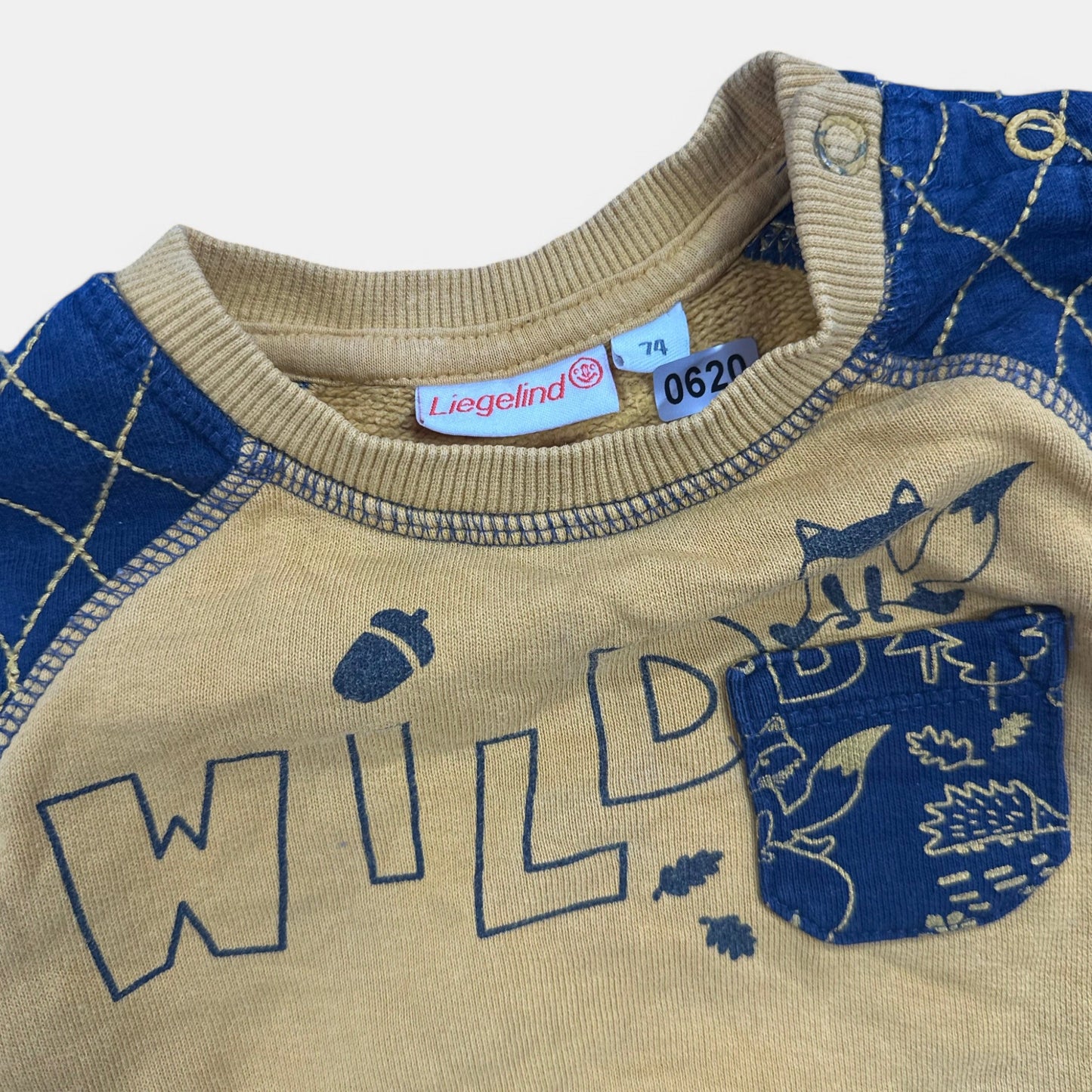 Pull Liegeling : 12 mois