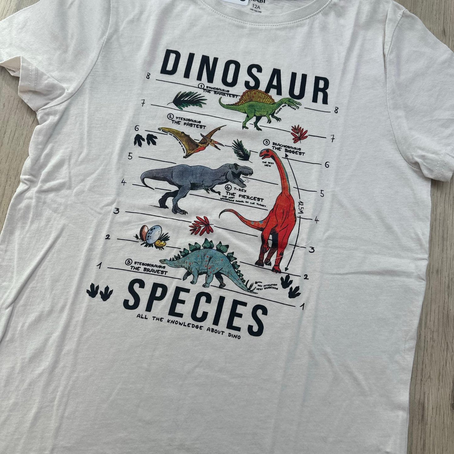 T-Shirt Kiabi : 12 ans