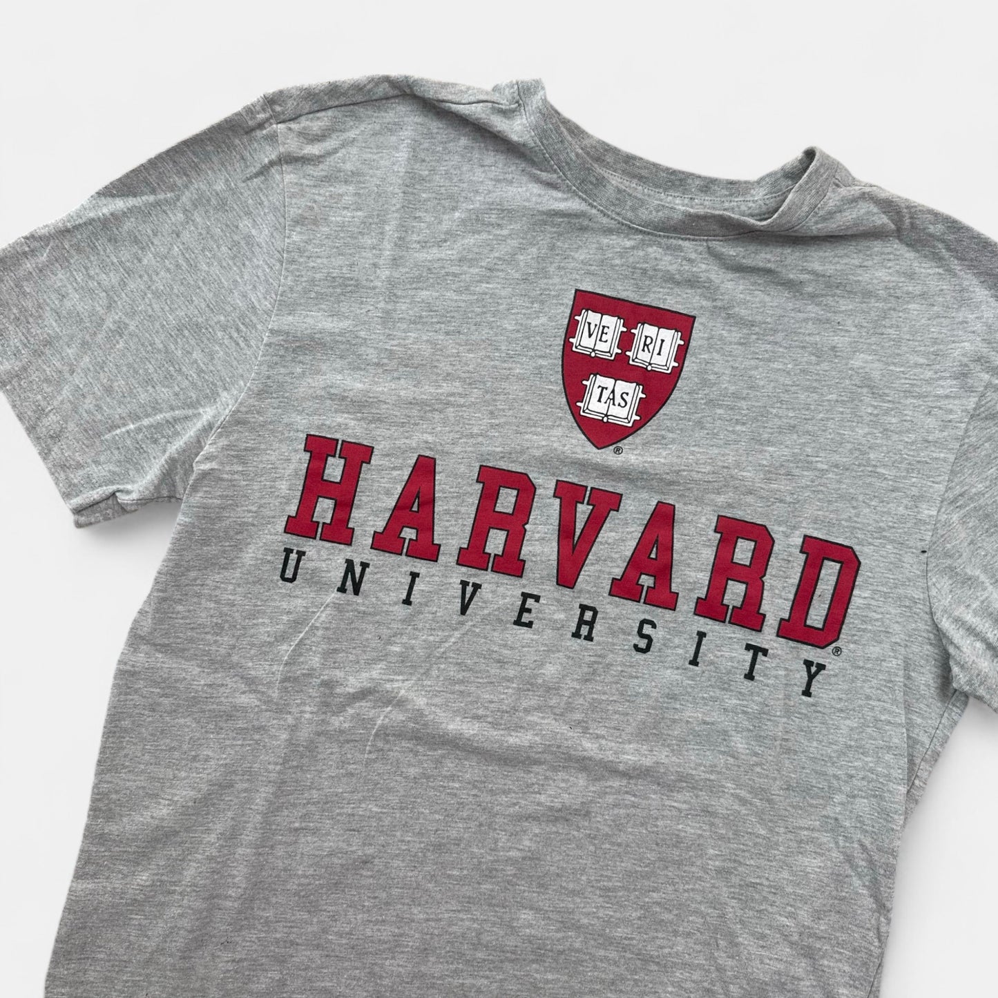 T-Shirt Harvad : 14 ans