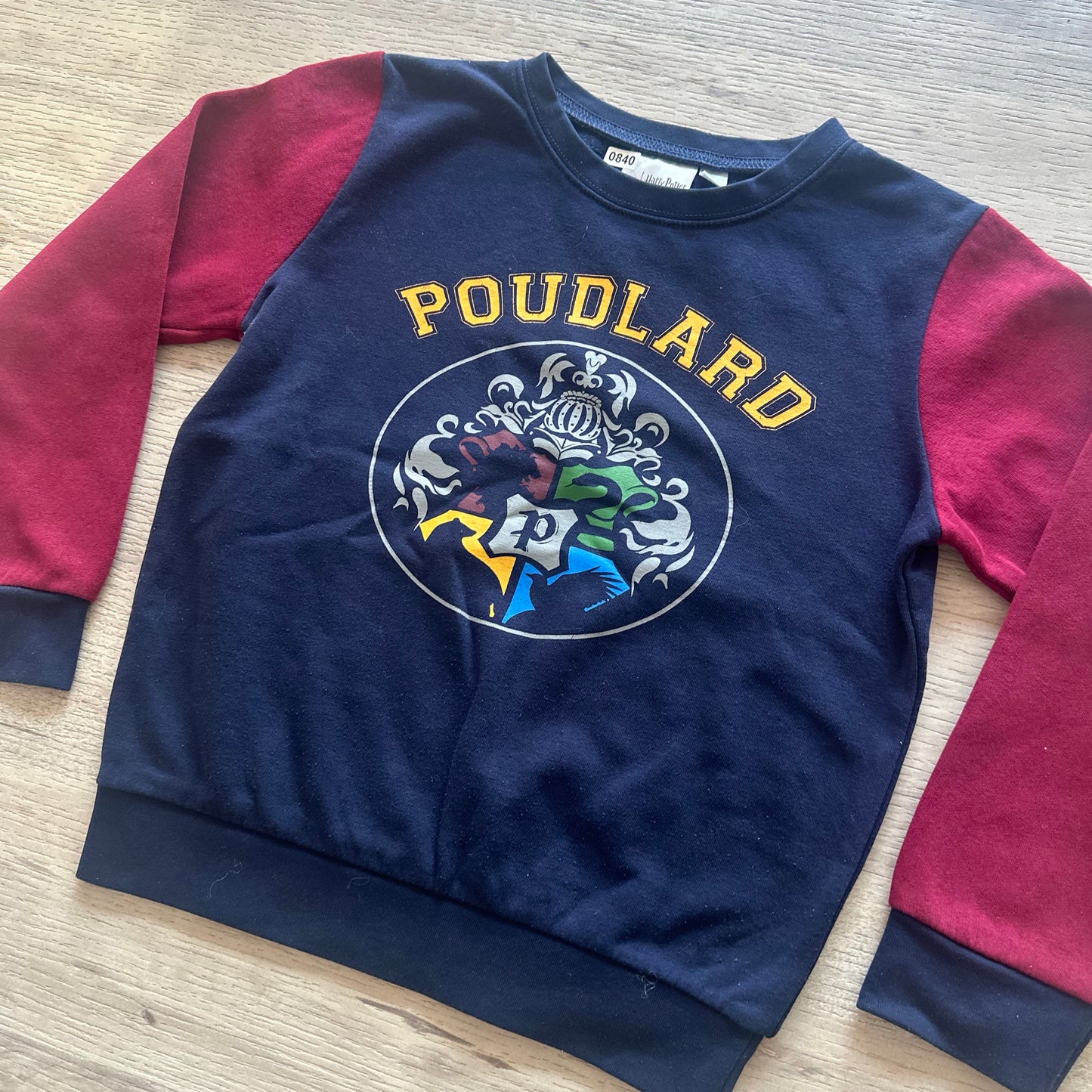 Pull Harry Potter : 8 ans