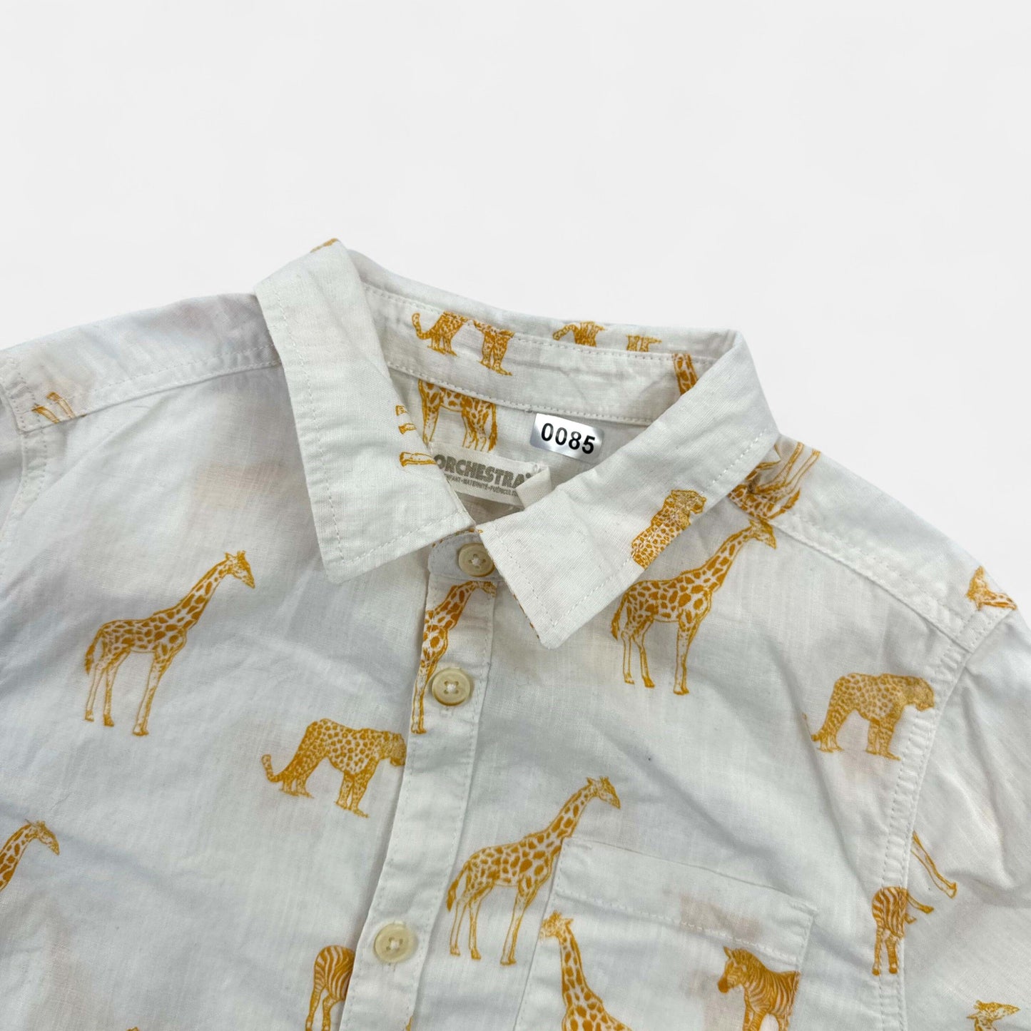 Chemisette Orchestra : 5 ans