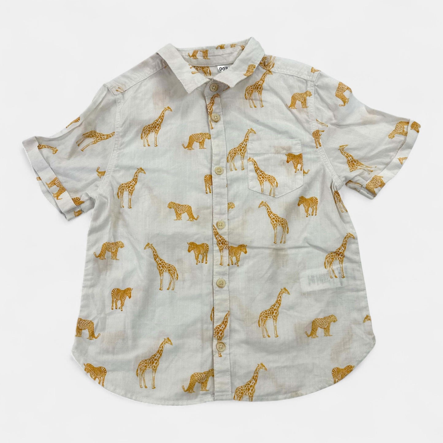 Chemisette Orchestra : 5 ans