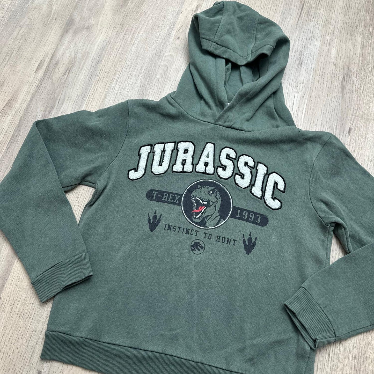 Pull jurassique world : 10 ans