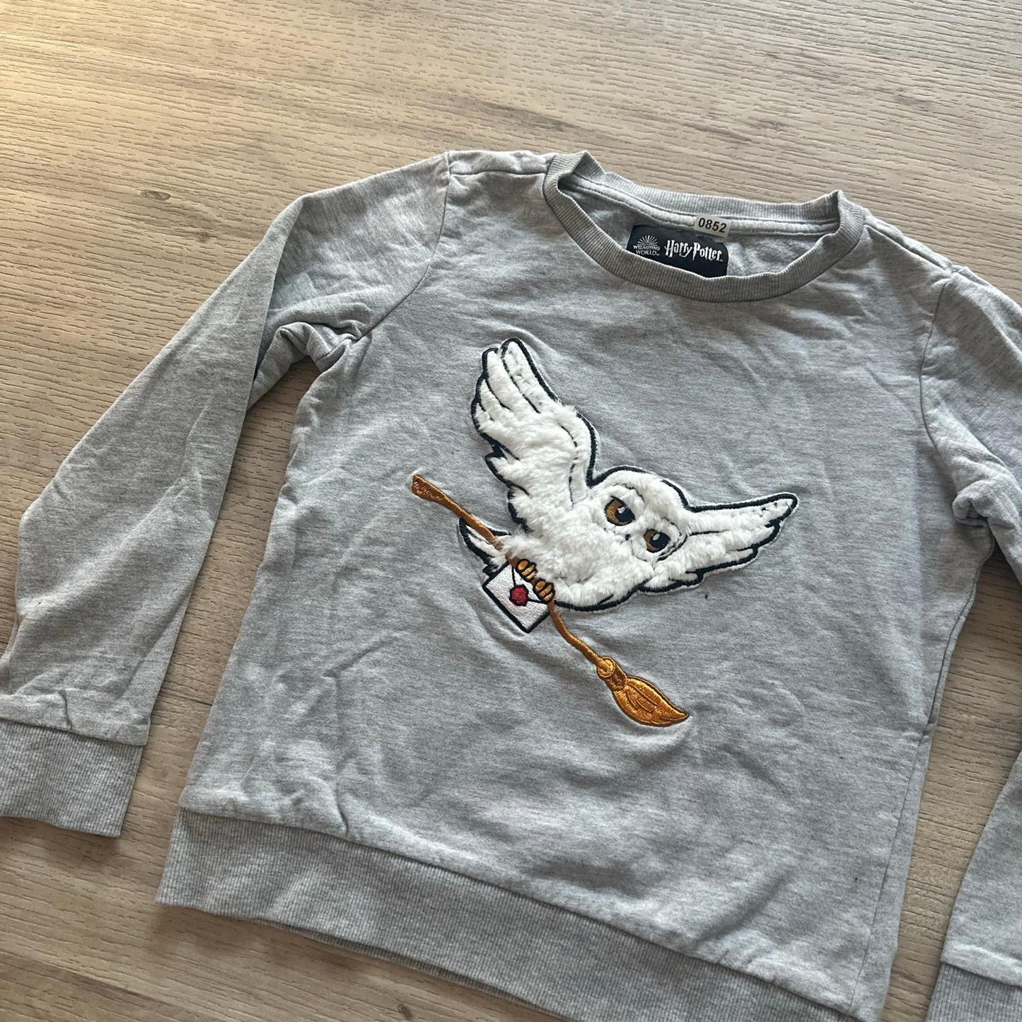 Pull Harry Potter : 10 ans