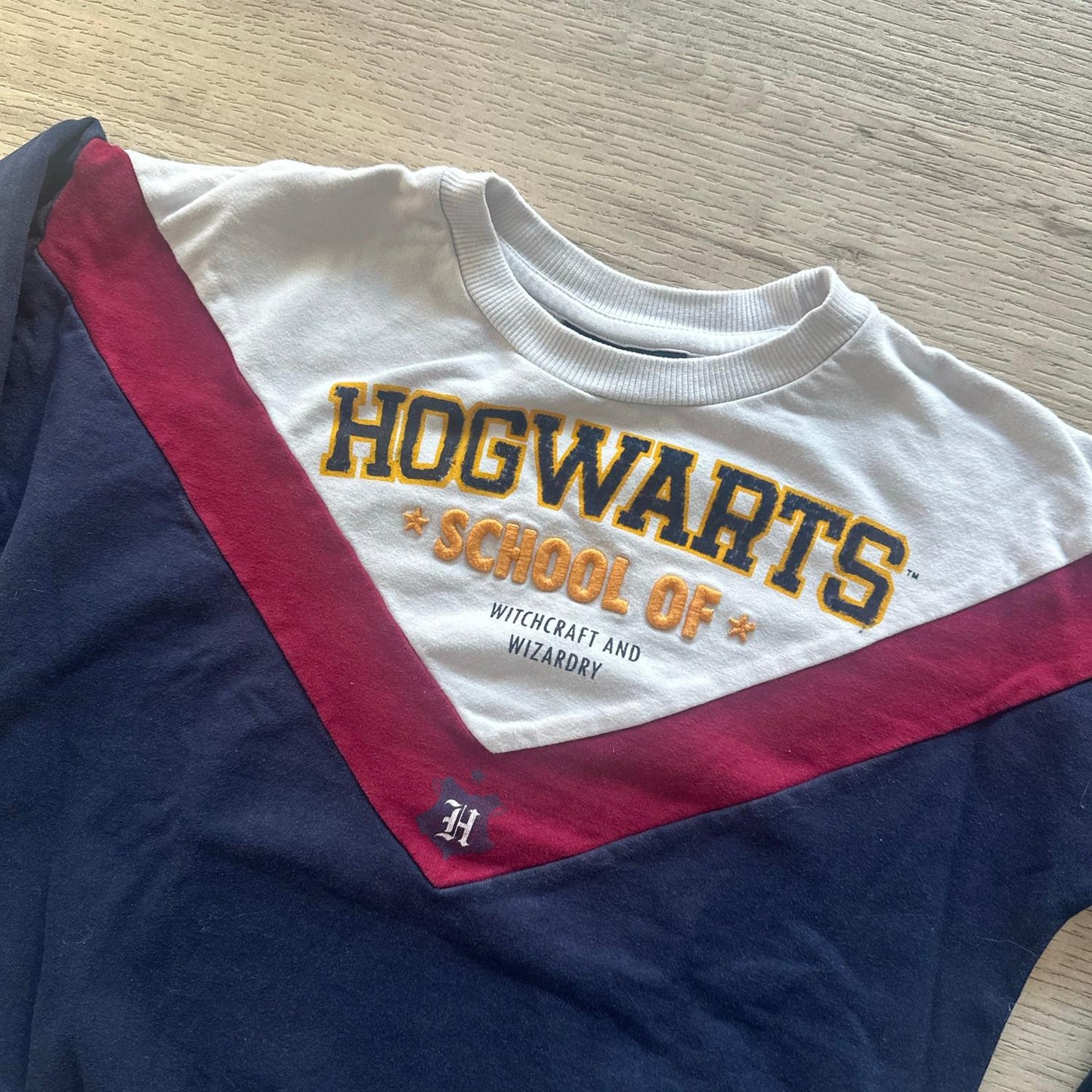 Pull Harry Potter : 10 ans
