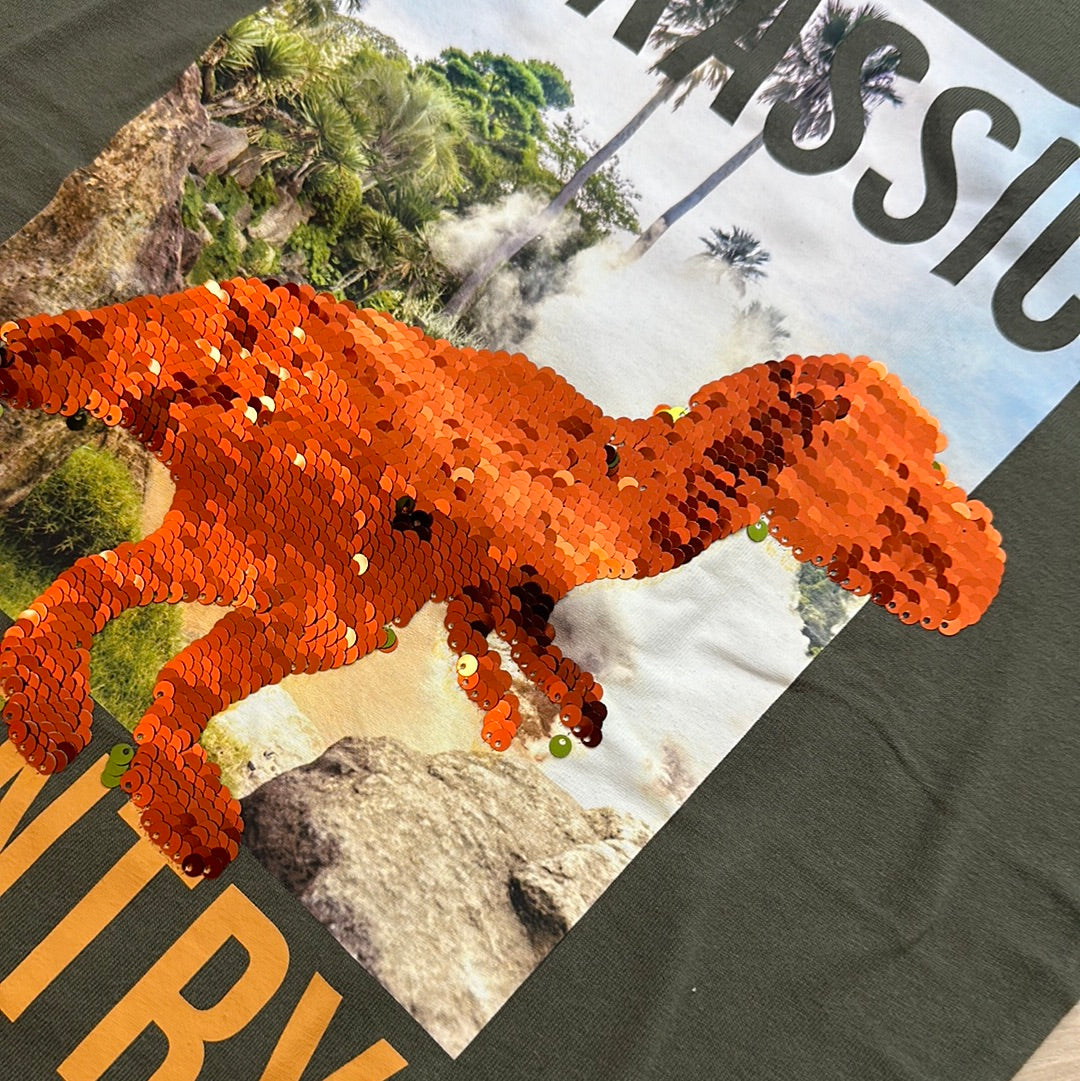 T-shirt jurassic country : 12 ans