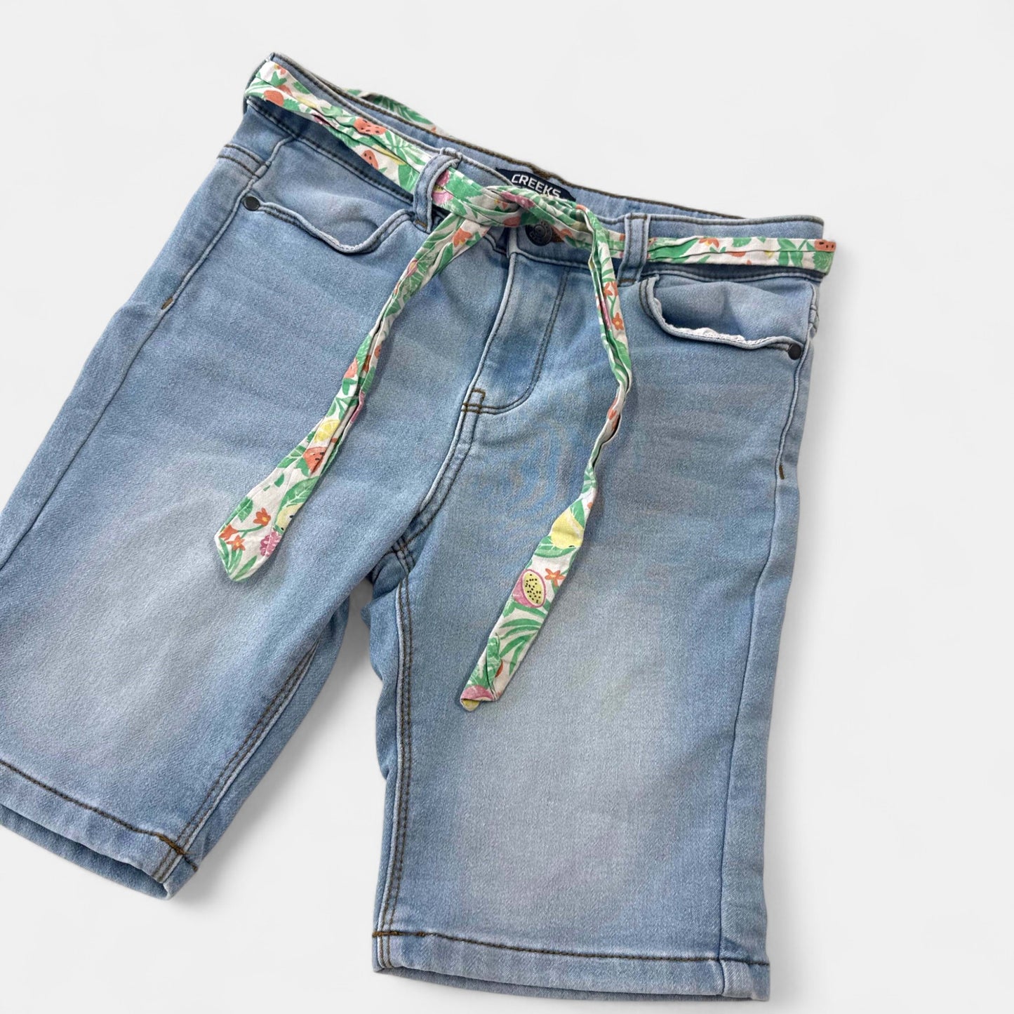 Short Creeks : 10 ans