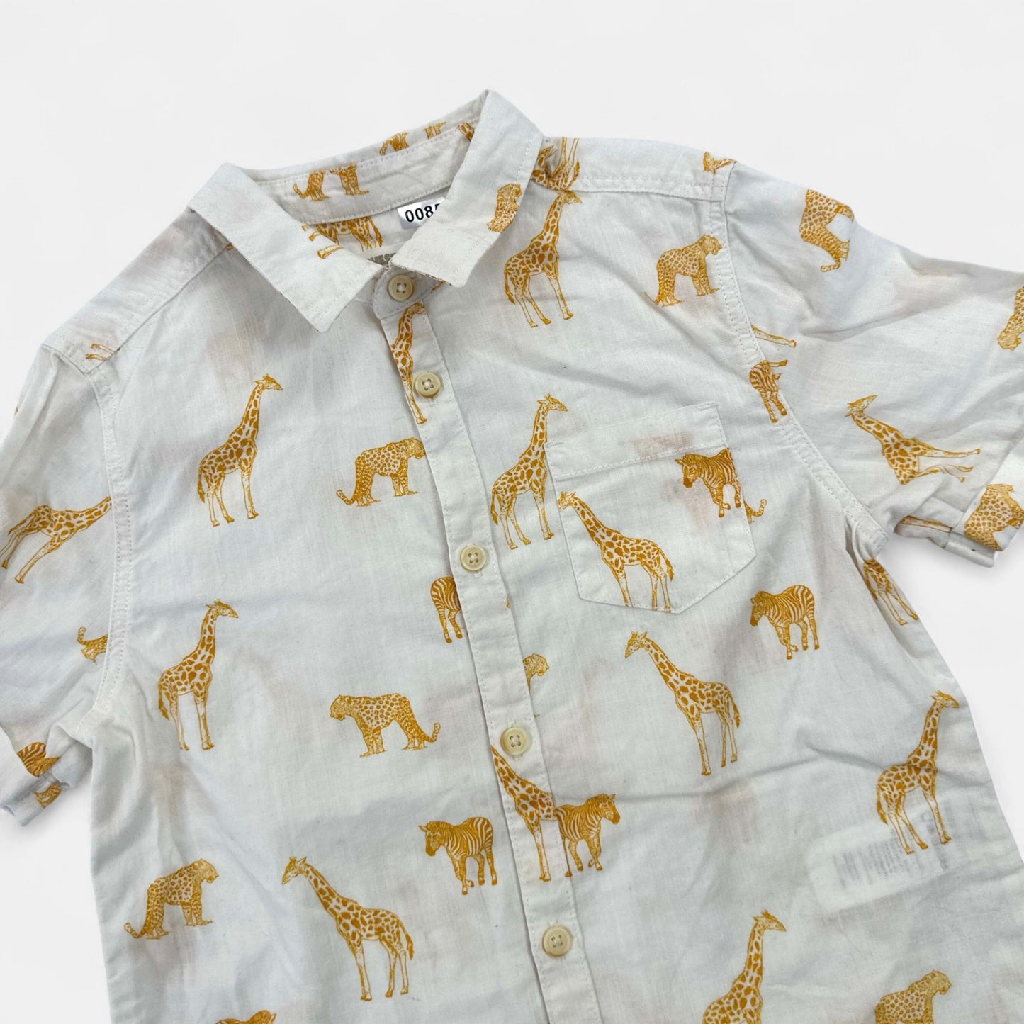 Chemisette Orchestra : 5 ans