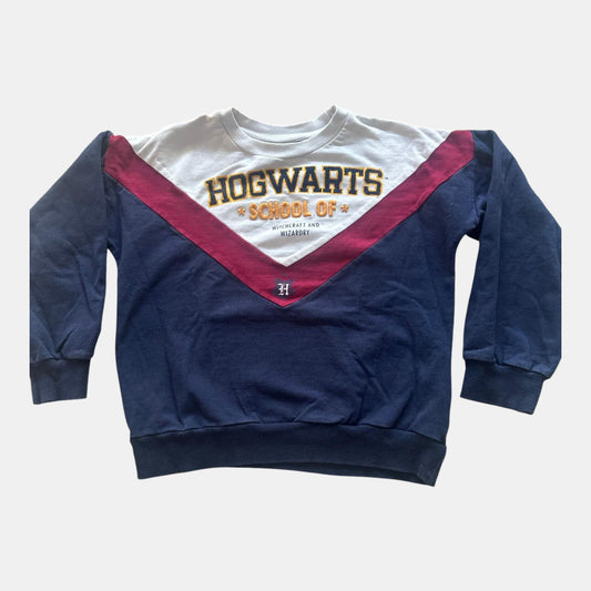 Pull Harry Potter : 10 ans