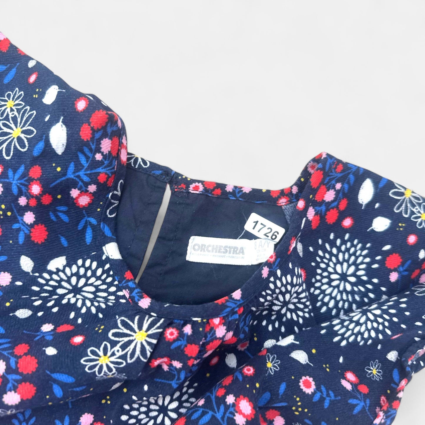 Robe Orchestra : 8 ans