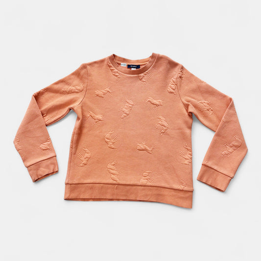 Pull Okaïdi : 10 ans