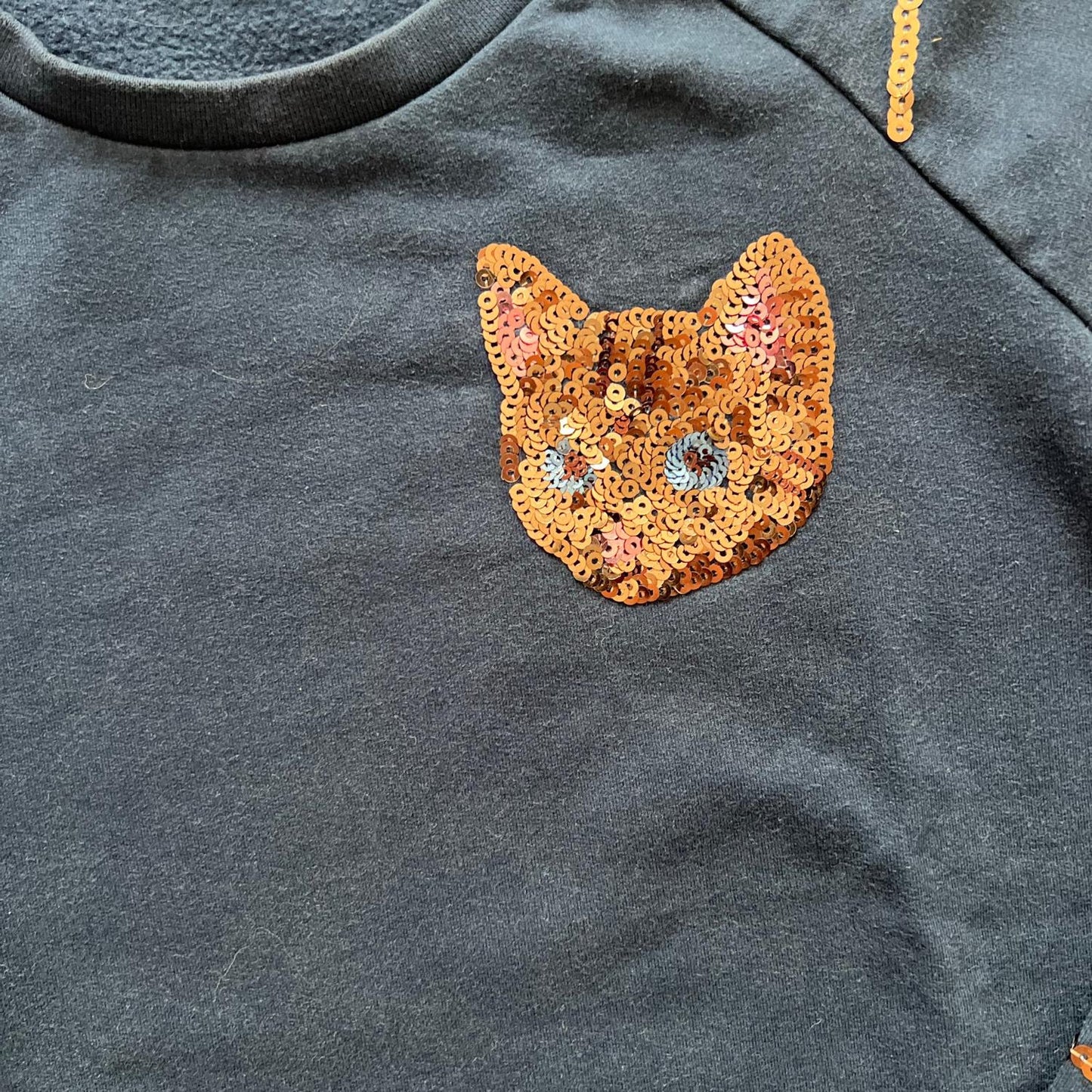 Pull Someone : 10 ans