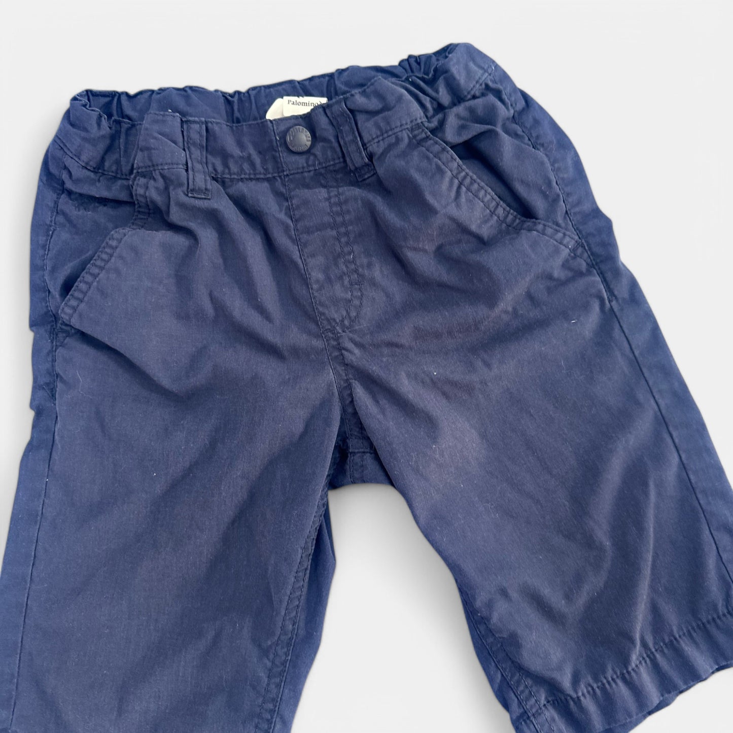 Short Palomino : 8 ans