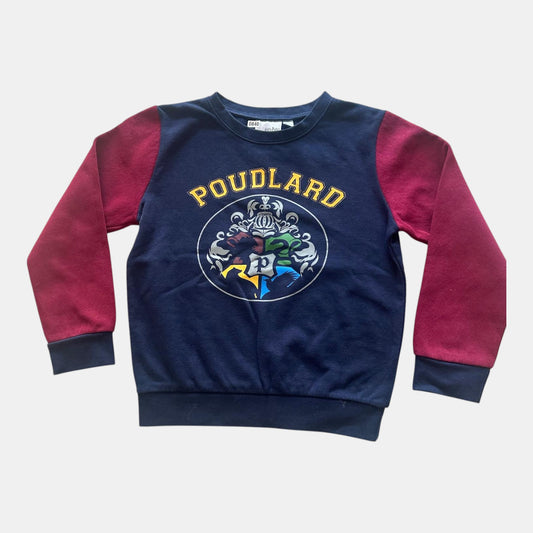 Pull Harry Potter : 8 ans