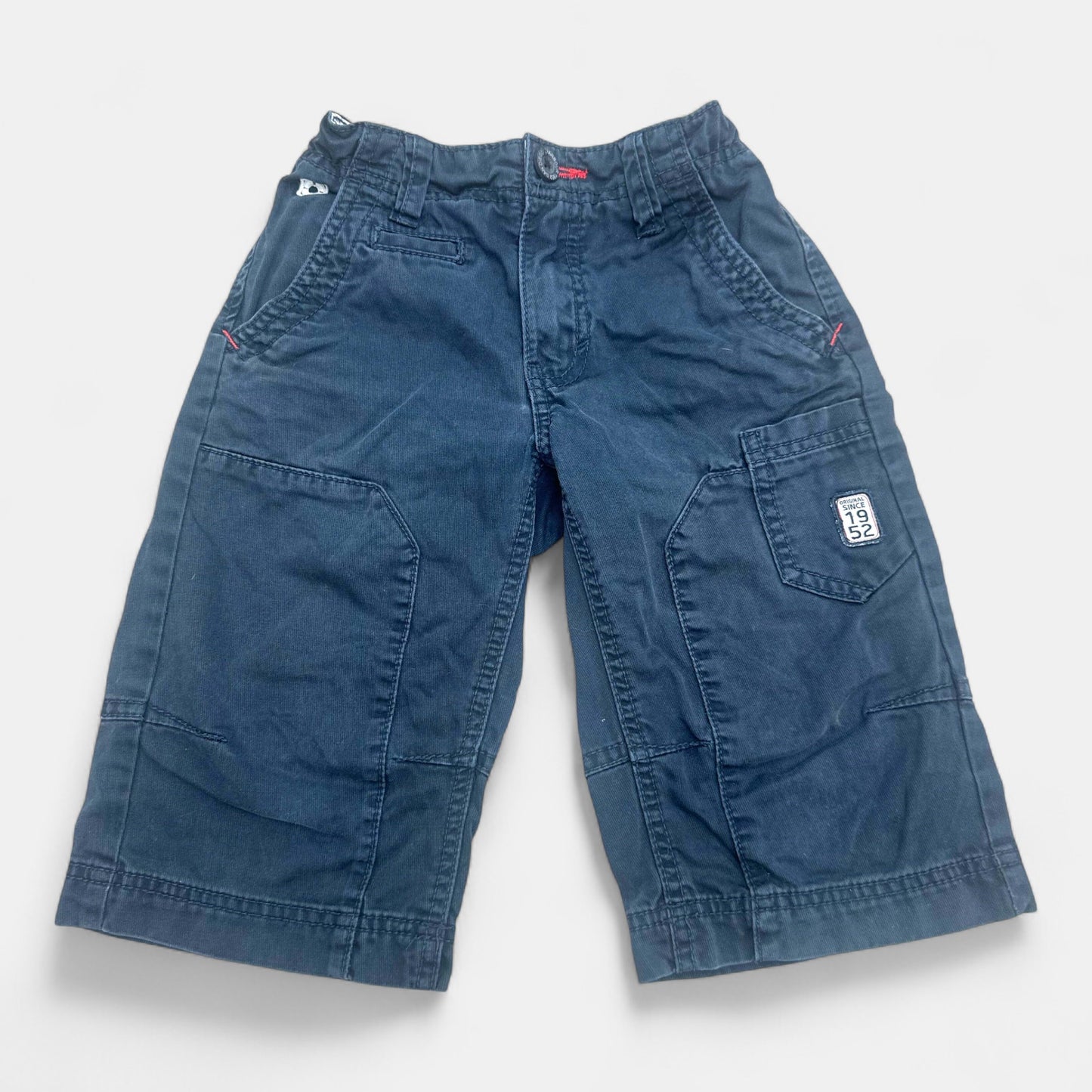 Short Palomino : 8 ans