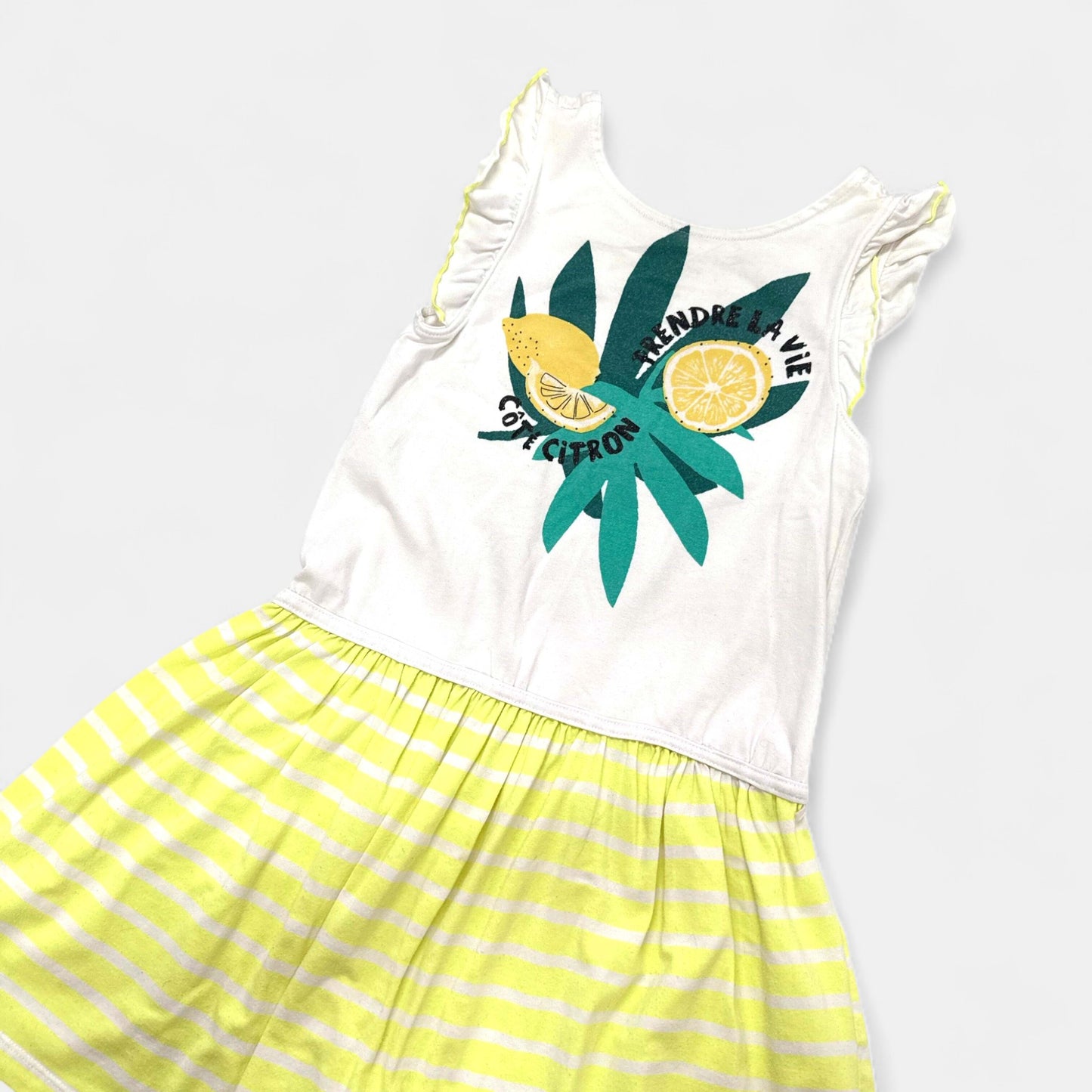 Robe Orchestra : 8 ans