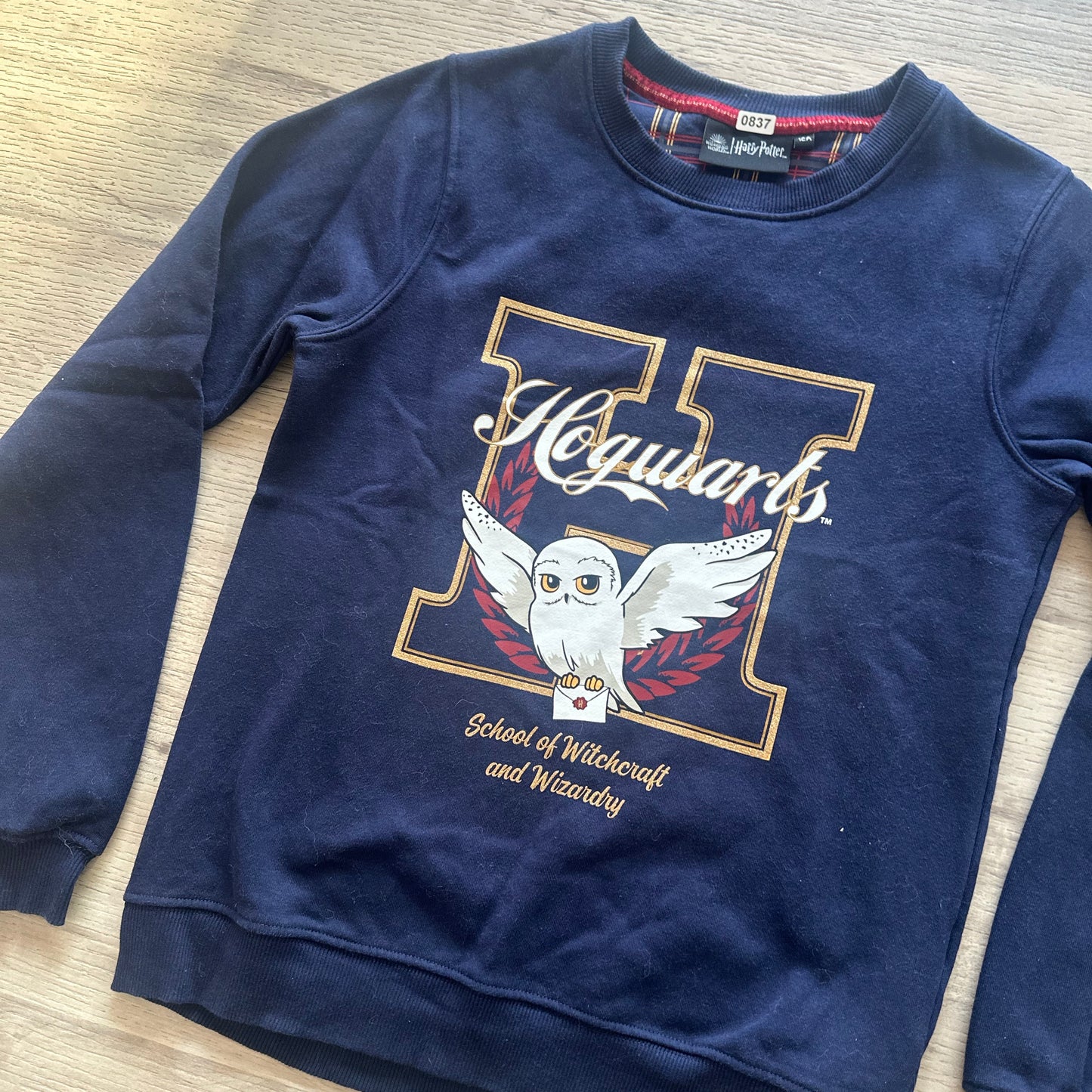 Pull Harry Potter : 12 ans