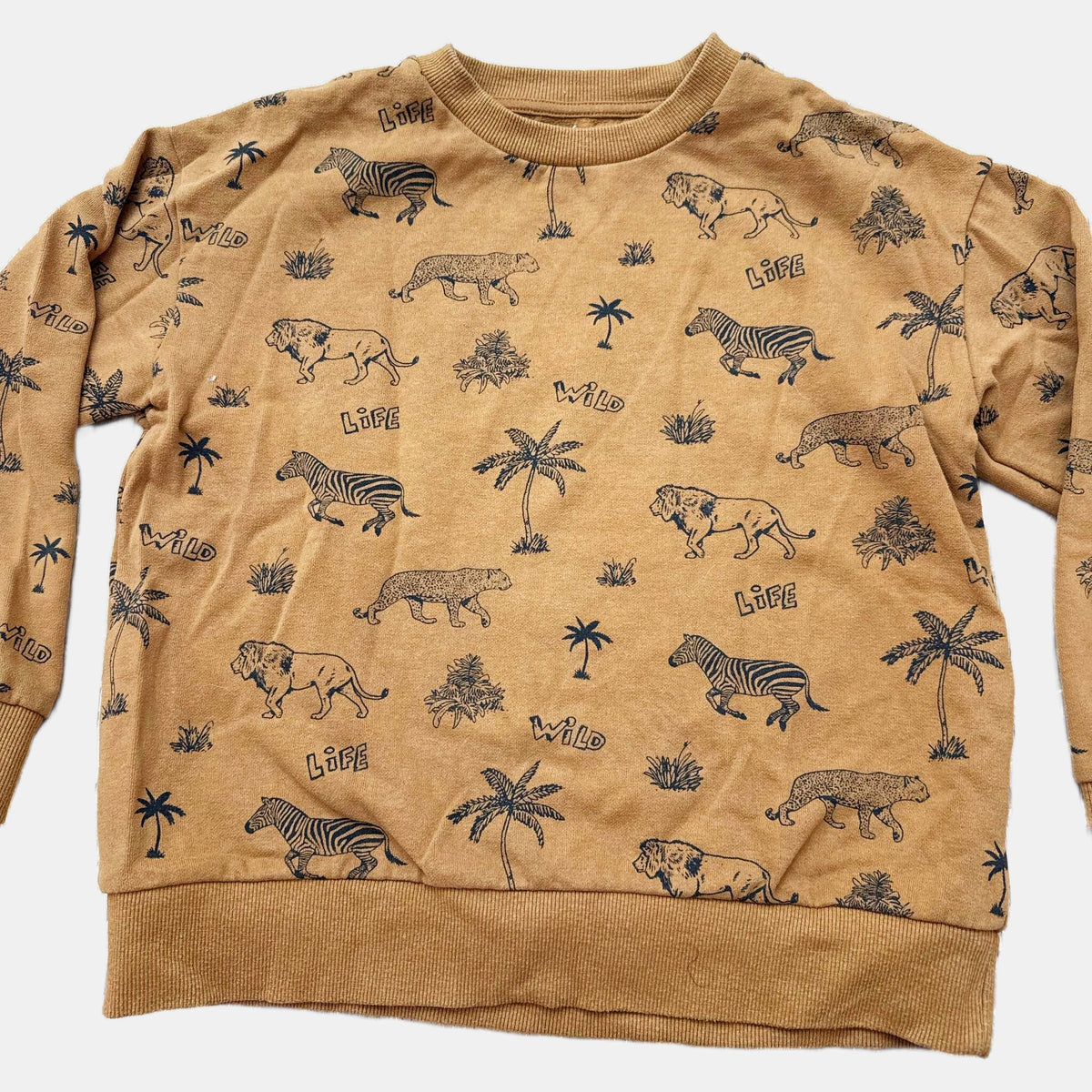 Pull Verbaudet : 10 ans