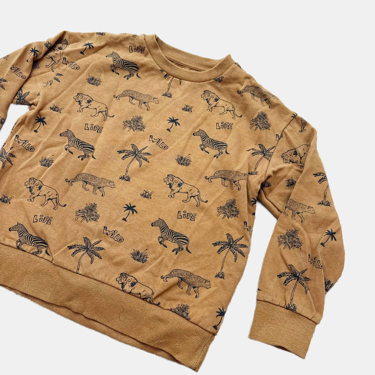 Pull Verbaudet : 10 ans