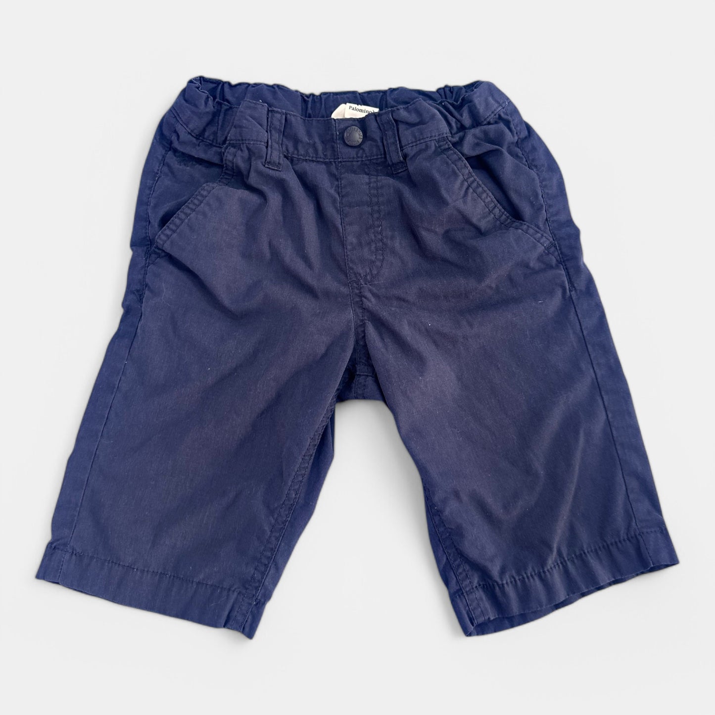 Short Palomino : 8 ans