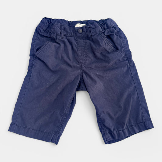 Short Palomino : 8 ans