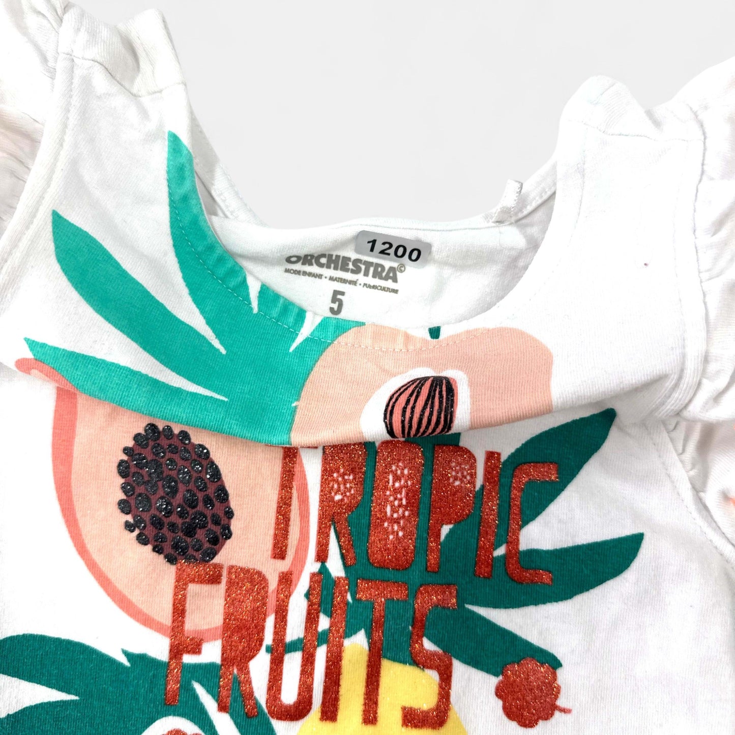 Robe Orchestra : 5 ans