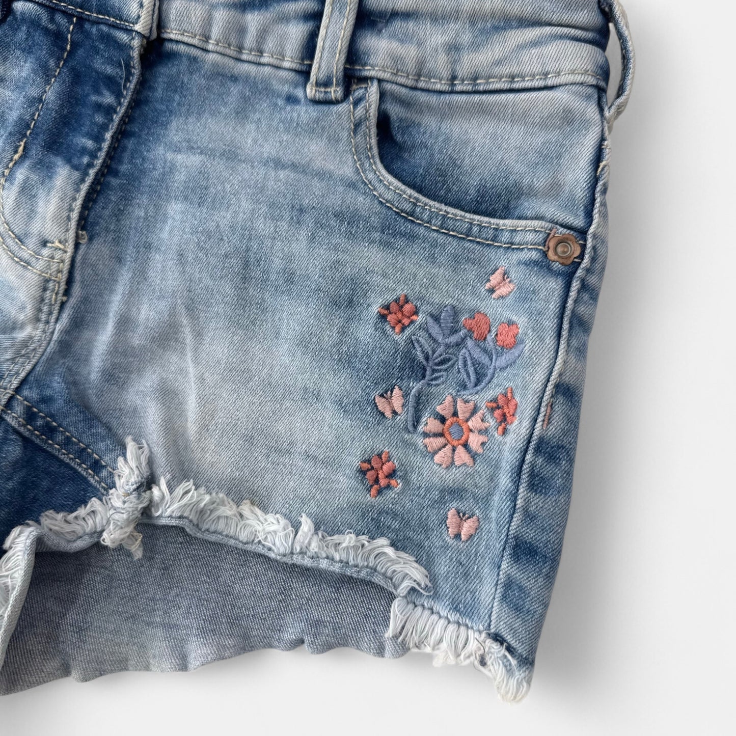 Short Palomino : 6 ans